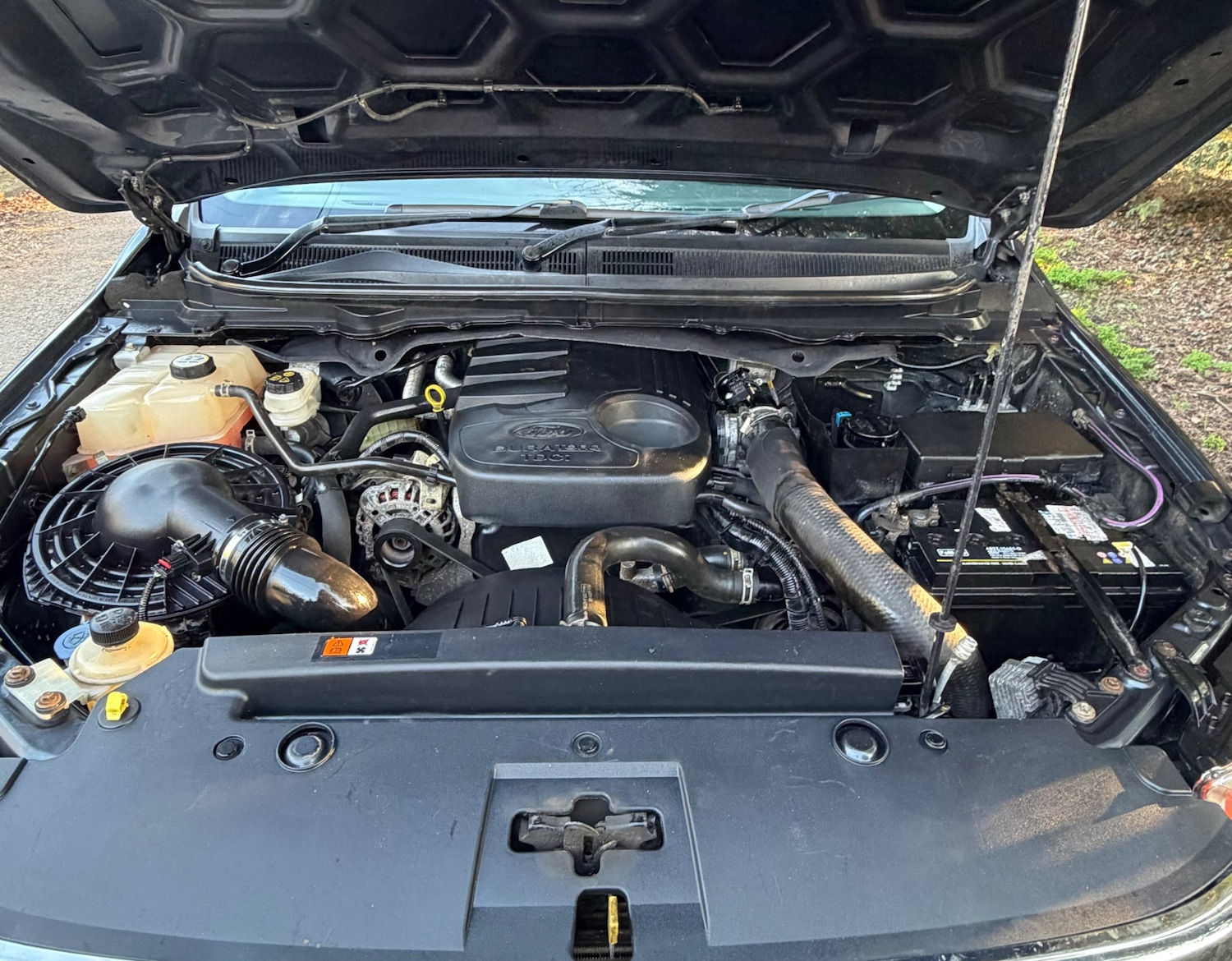 Used Ford Ranger 2014 for sale - 77973116: Photo 16