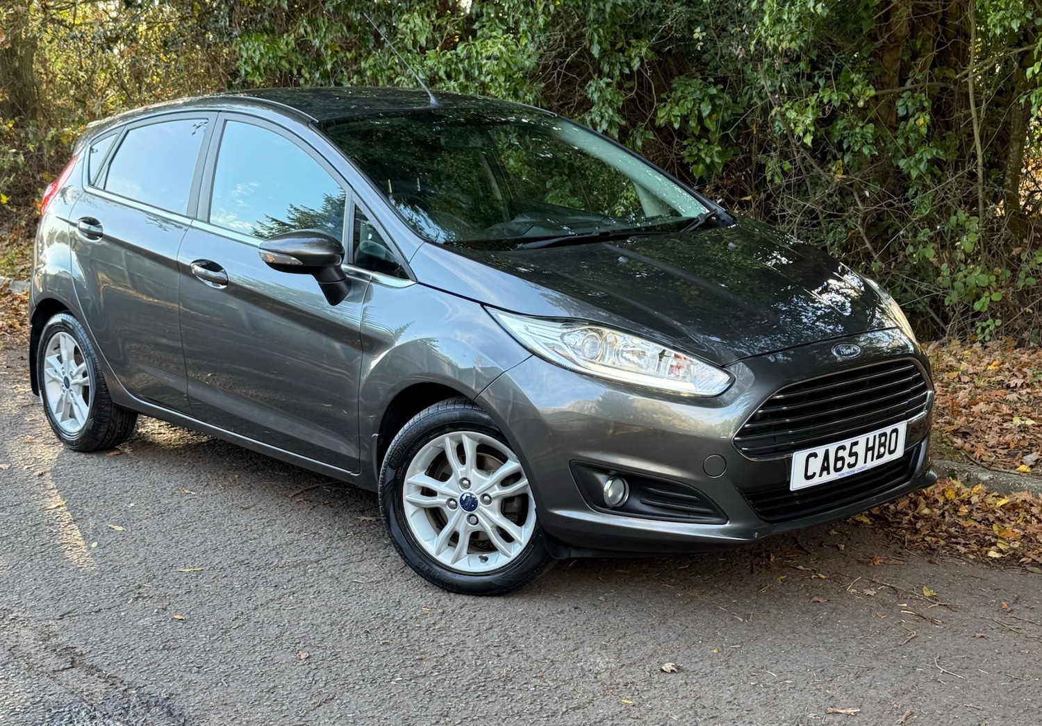 Used Ford Fiesta 2016 for sale - 76560162: Photo 1