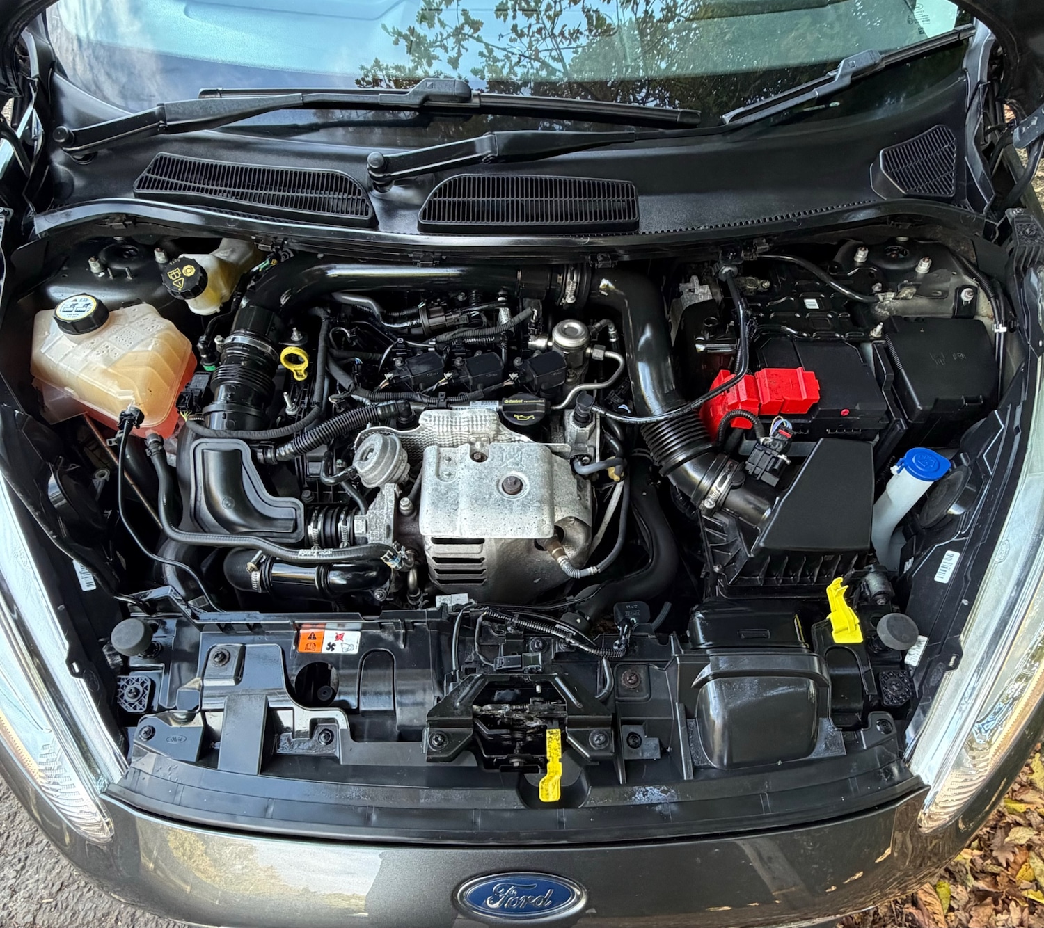 Used Ford Fiesta 2016 for sale - 76560162: Photo 17