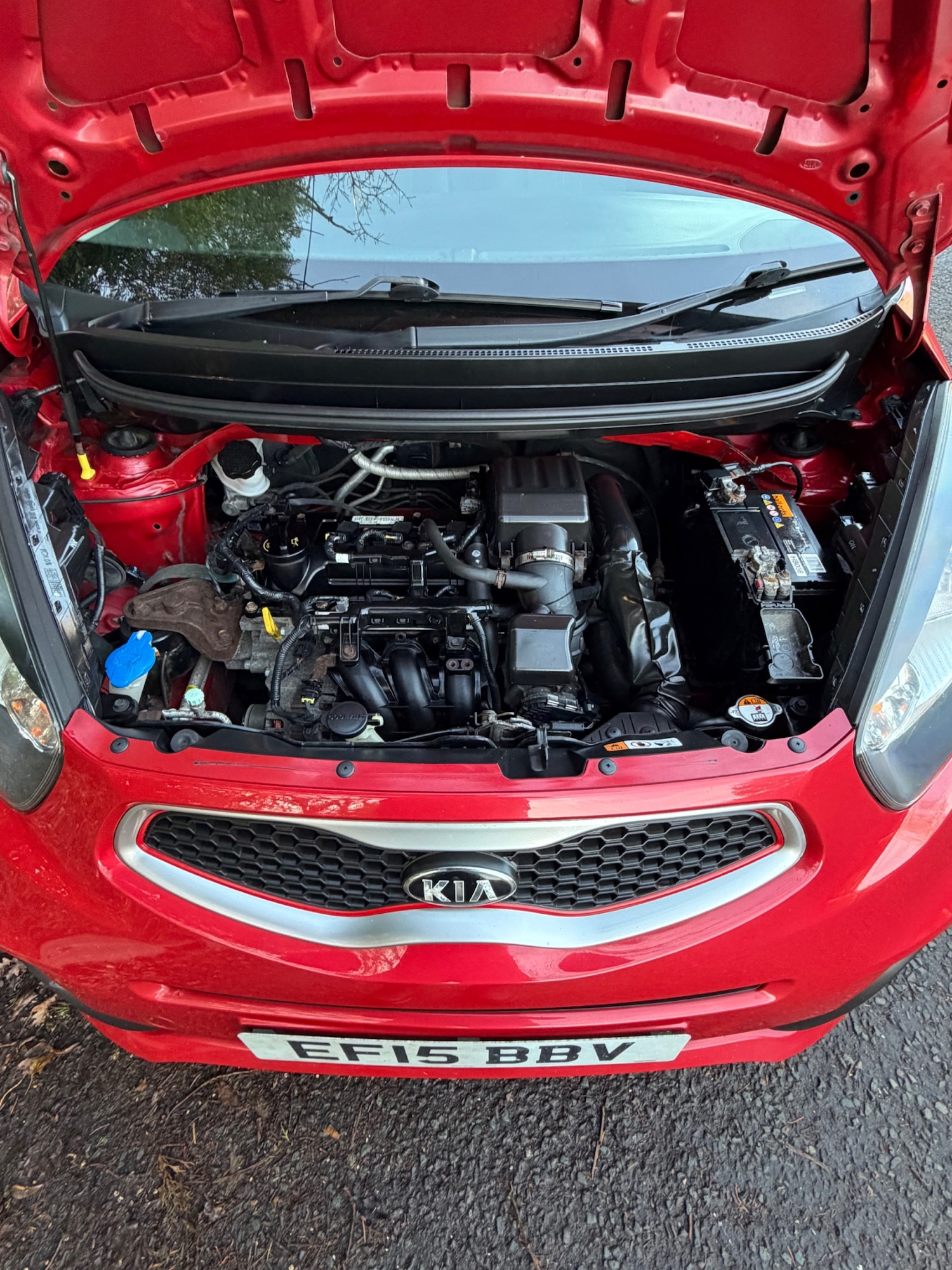 Used Kia Picanto 2015 for sale - 77198111: Photo 14