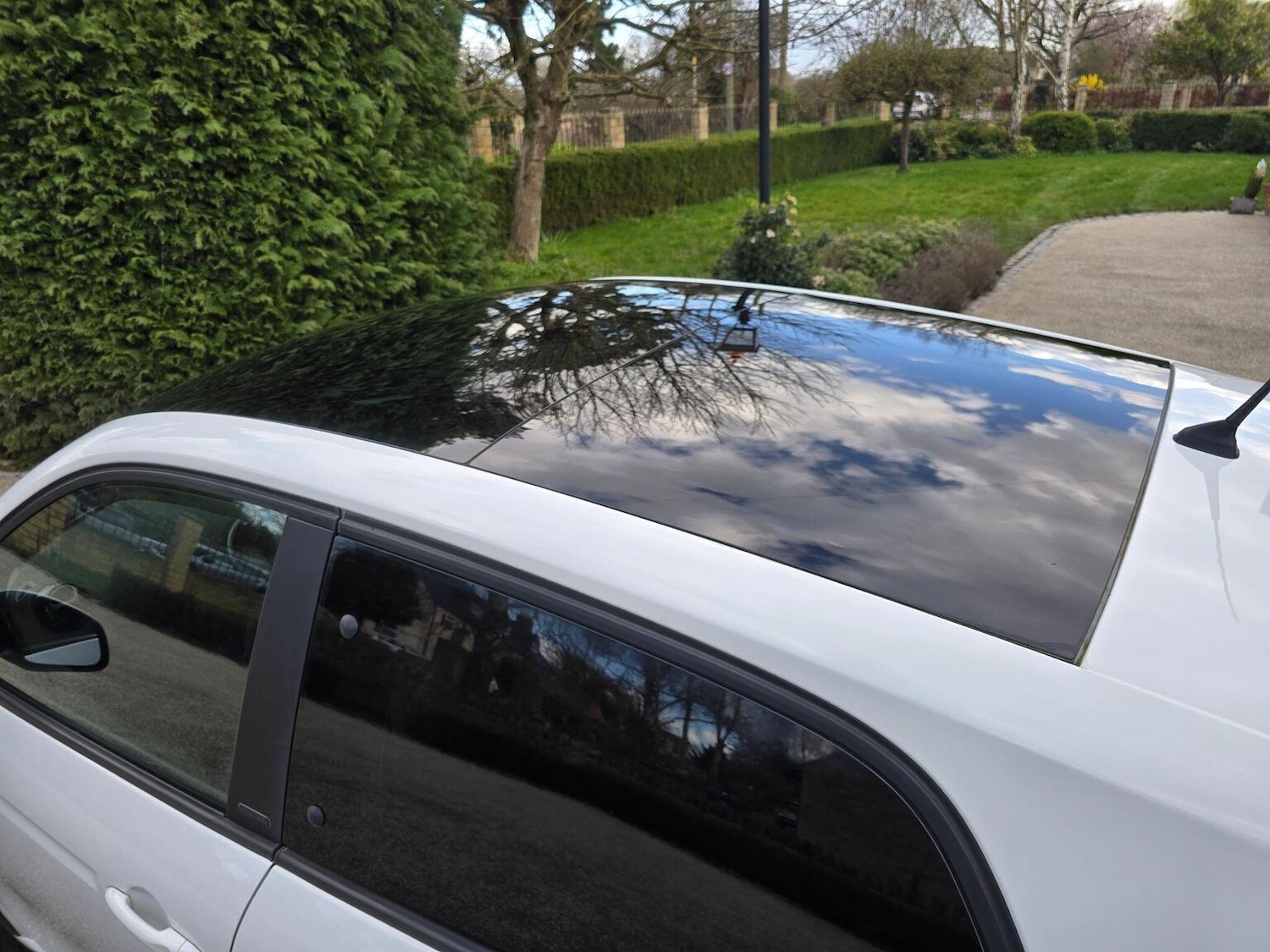 Used smart forfour 2016 for sale - 77836895: Photo 33