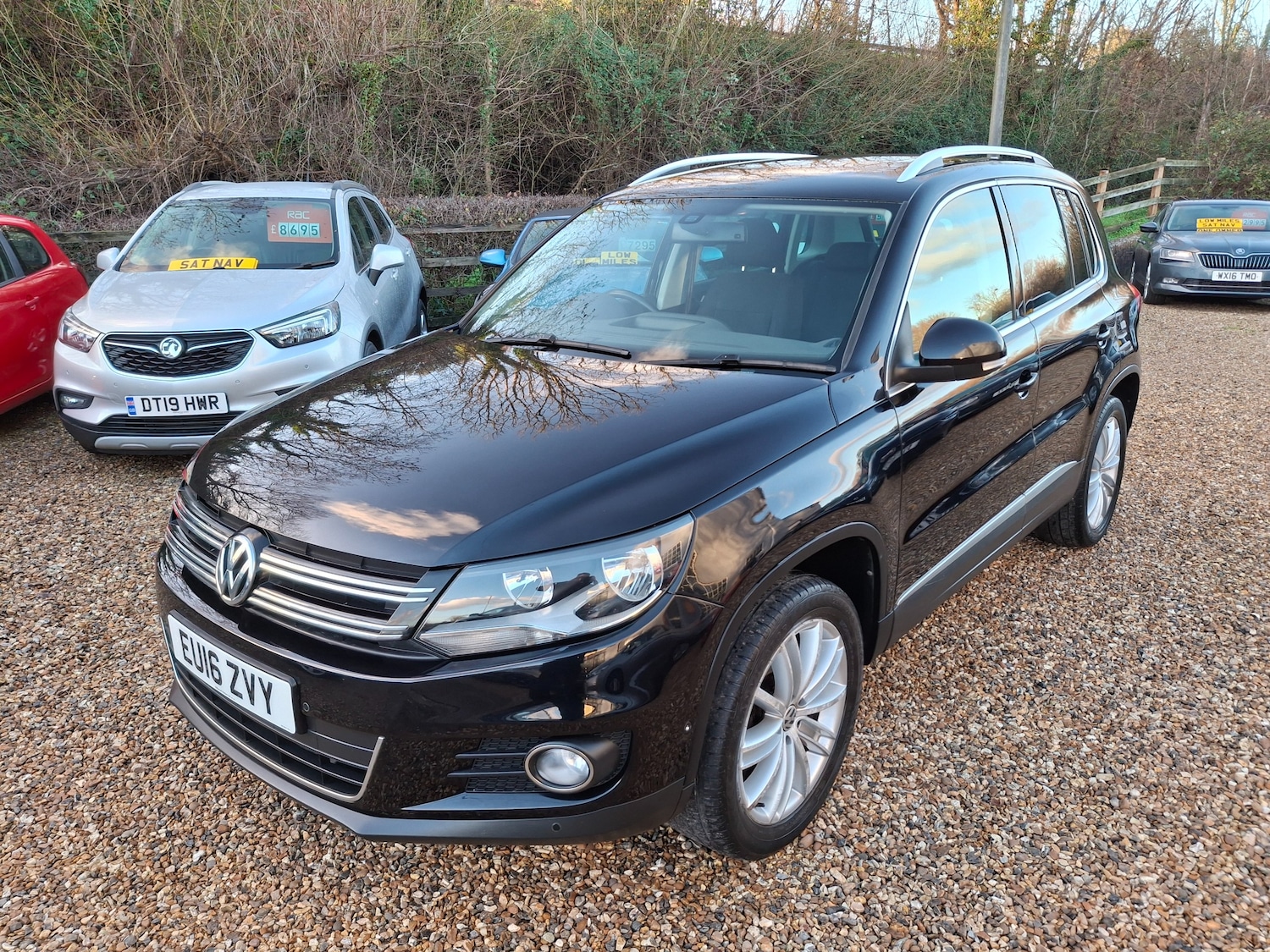 Used Volkswagen Tiguan for sale - 77002007: Photo 2