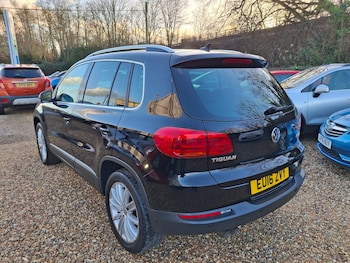 Used Volkswagen Tiguan 2016 for sale - 77002007: Photo