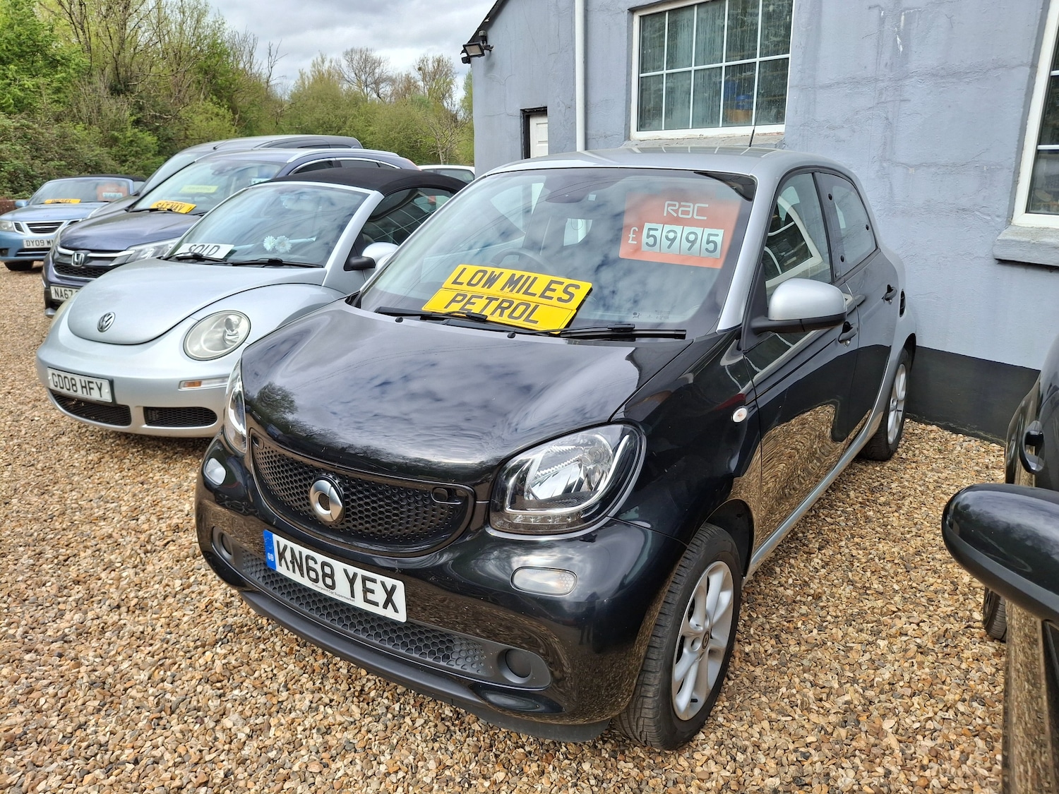 Used smart forfour 2018 for sale - 78182581: Photo 1