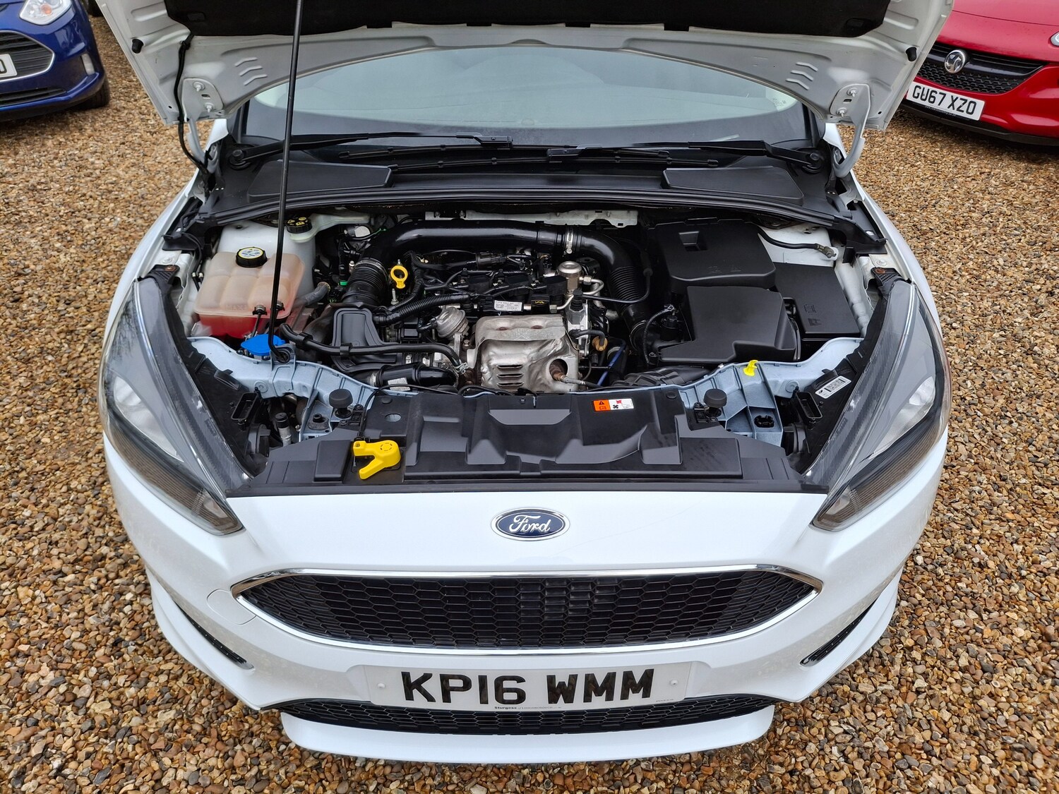 Used Ford Focus 2016 for sale - 77872227: Photo 34