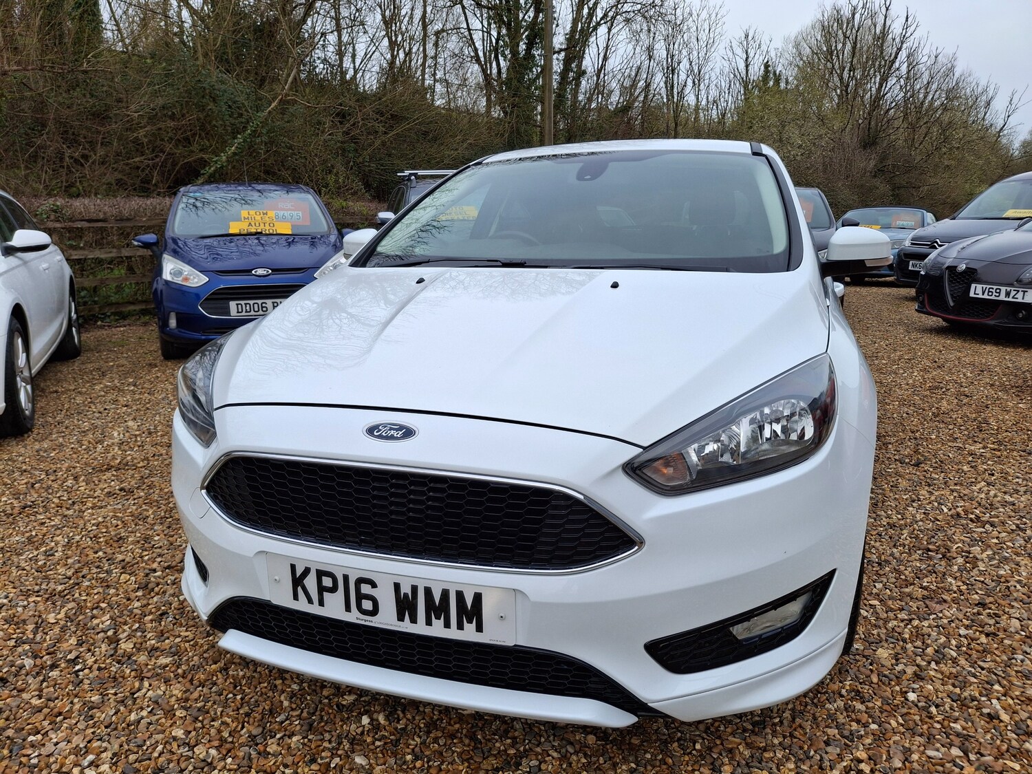 Used Ford Focus 2016 for sale - 77872227: Photo 41