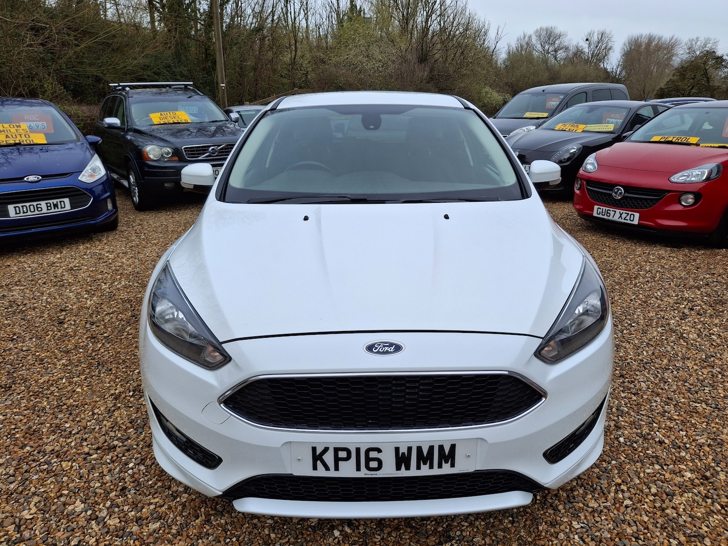 Used Ford Focus 2016 for sale - 77872227: Photo 5