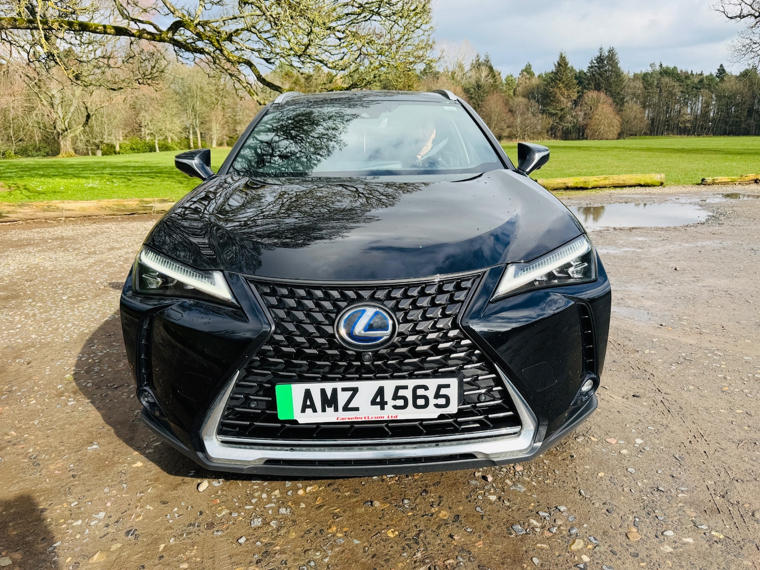 Used Lexus UX 2023 for sale - 77809334: Photo 2