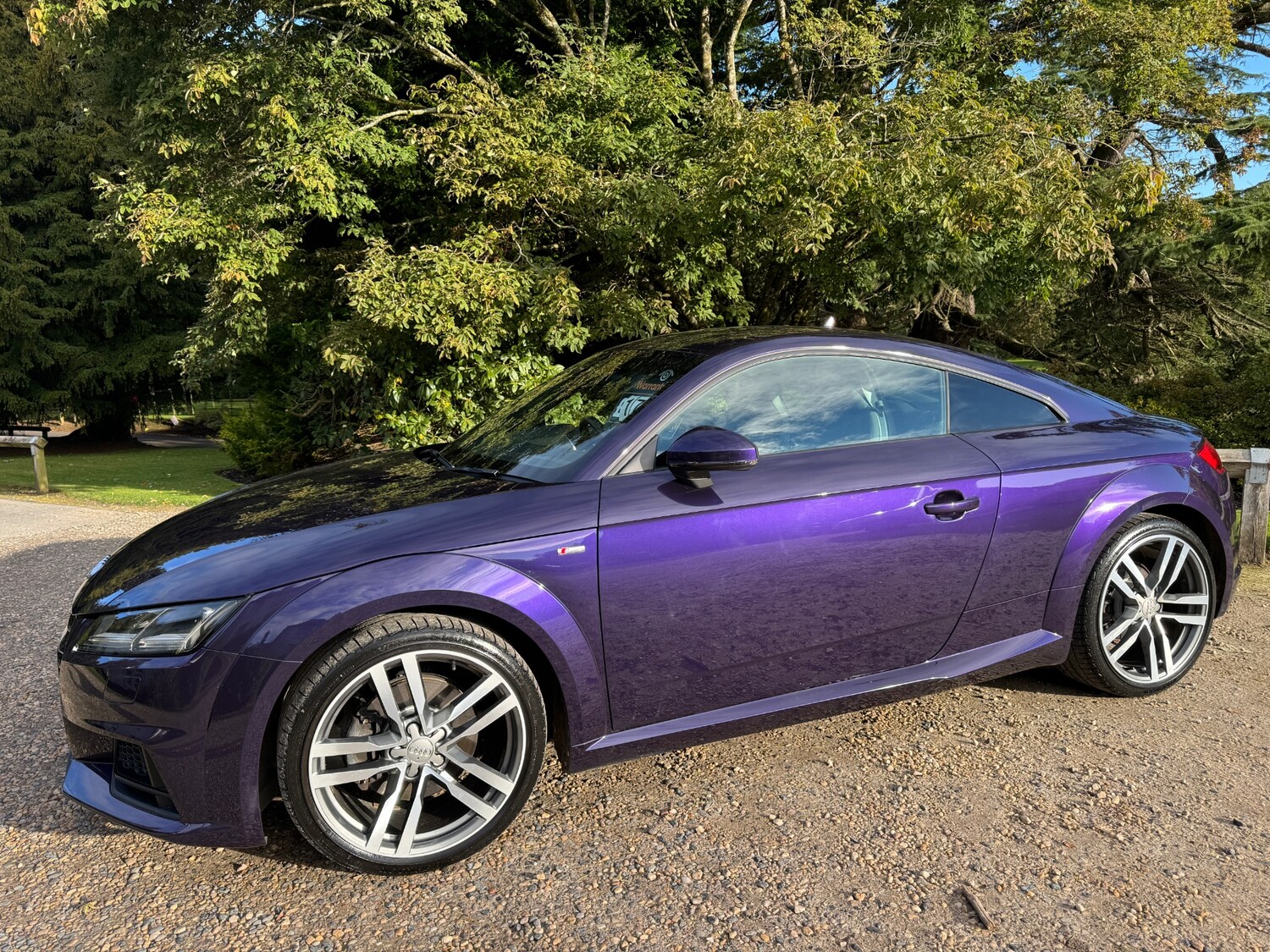 Used Audi TT 2016 for sale - 77856241: Photo 13