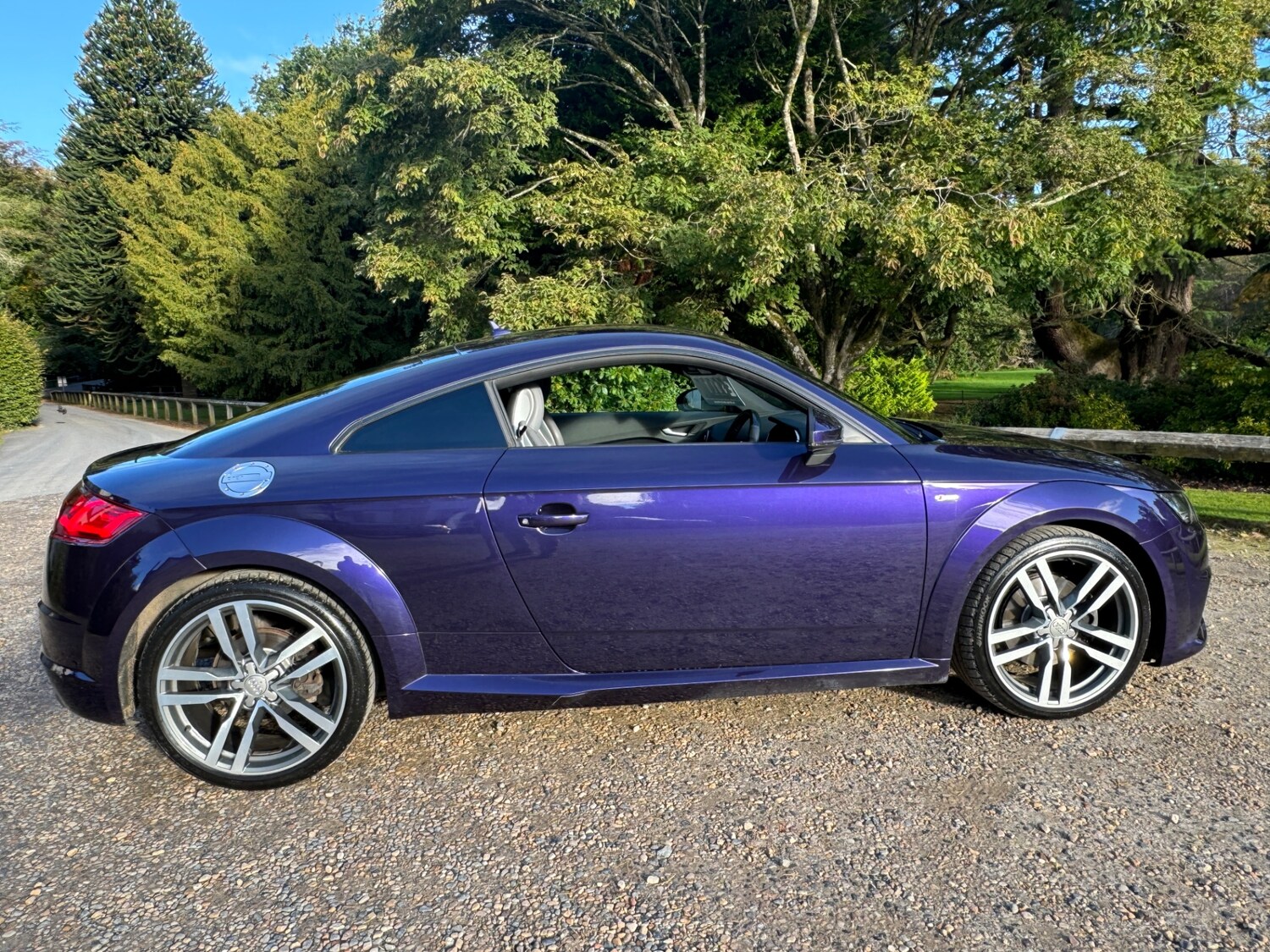 Used Audi TT 2016 for sale - 77856241: Photo 16