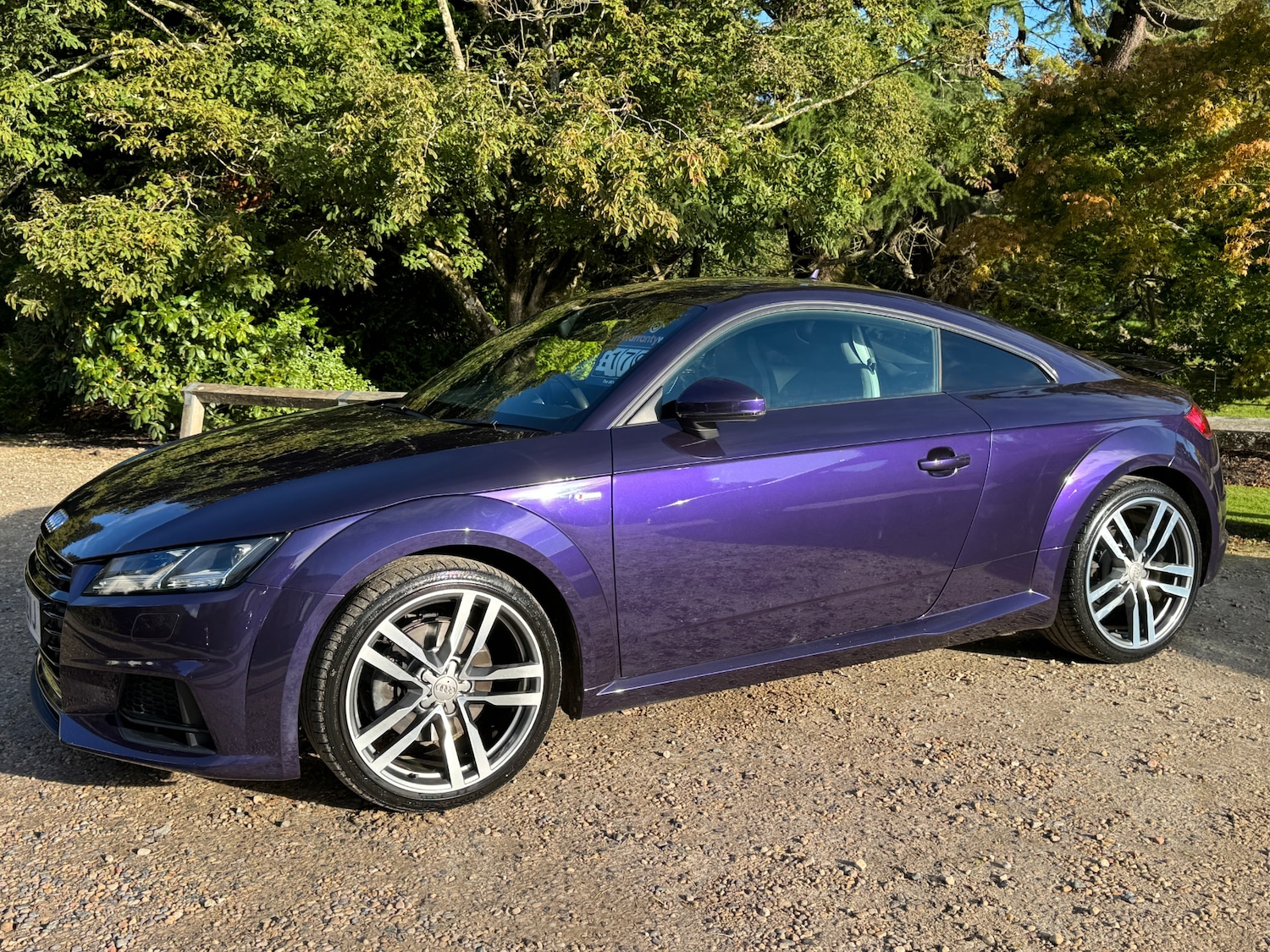 Used Audi TT 2016 for sale - 77856241: Photo 5