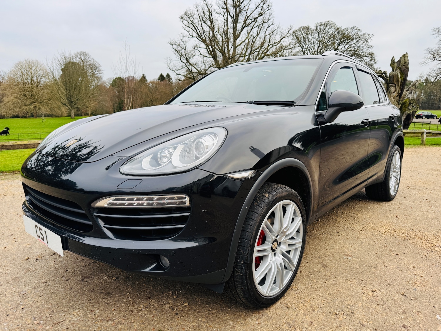 Used Porsche Cayenne 2013 for sale - 77082353: Photo 10