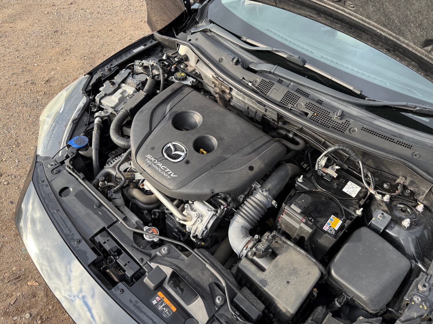 Used Mazda Mazda2 2015 for sale - 76497709: Photo 16