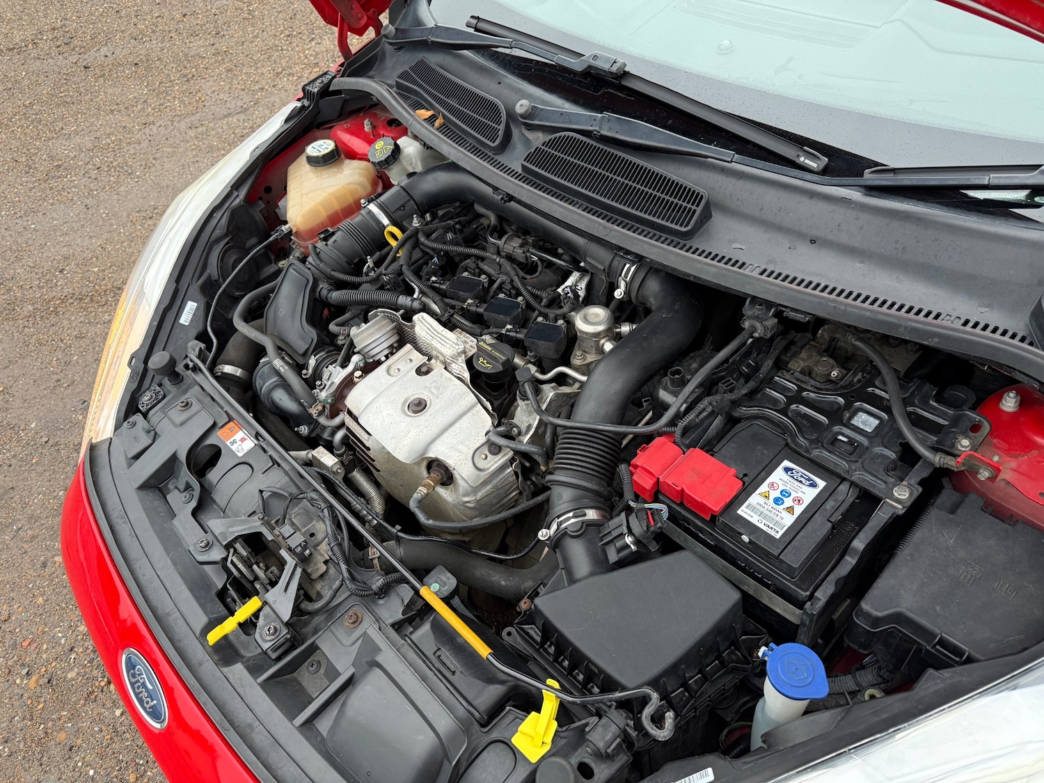 Used Ford Fiesta 2014 for sale - 76566394: Photo 16