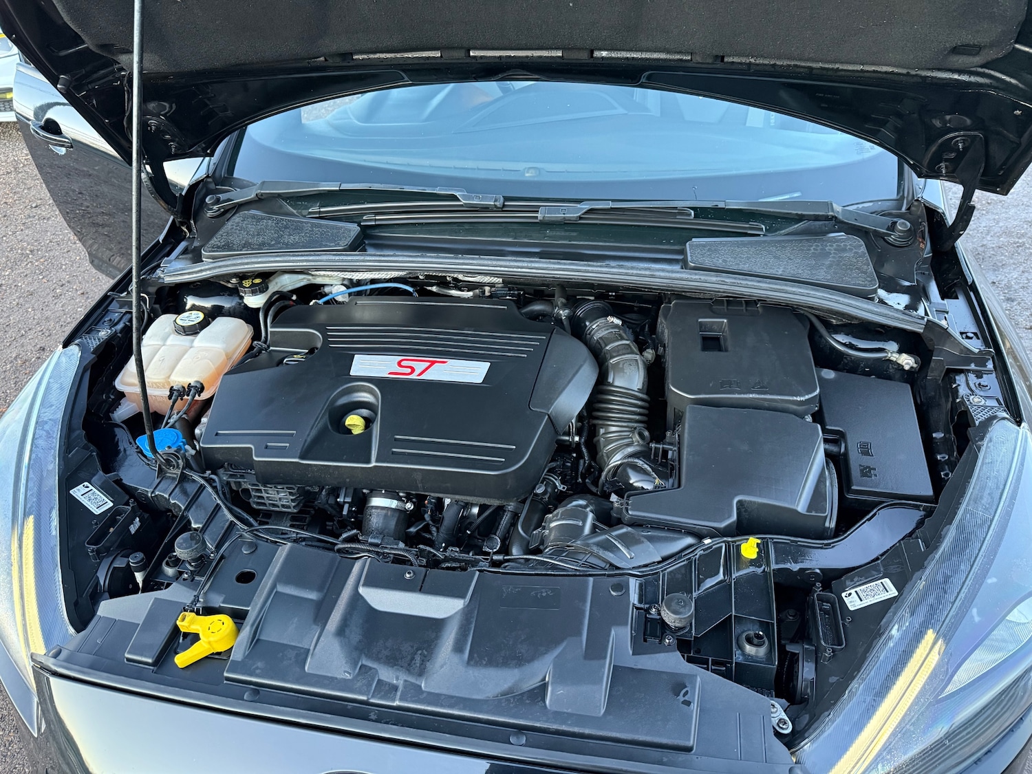 Used Ford Focus 2016 for sale - 76987162: Photo 16