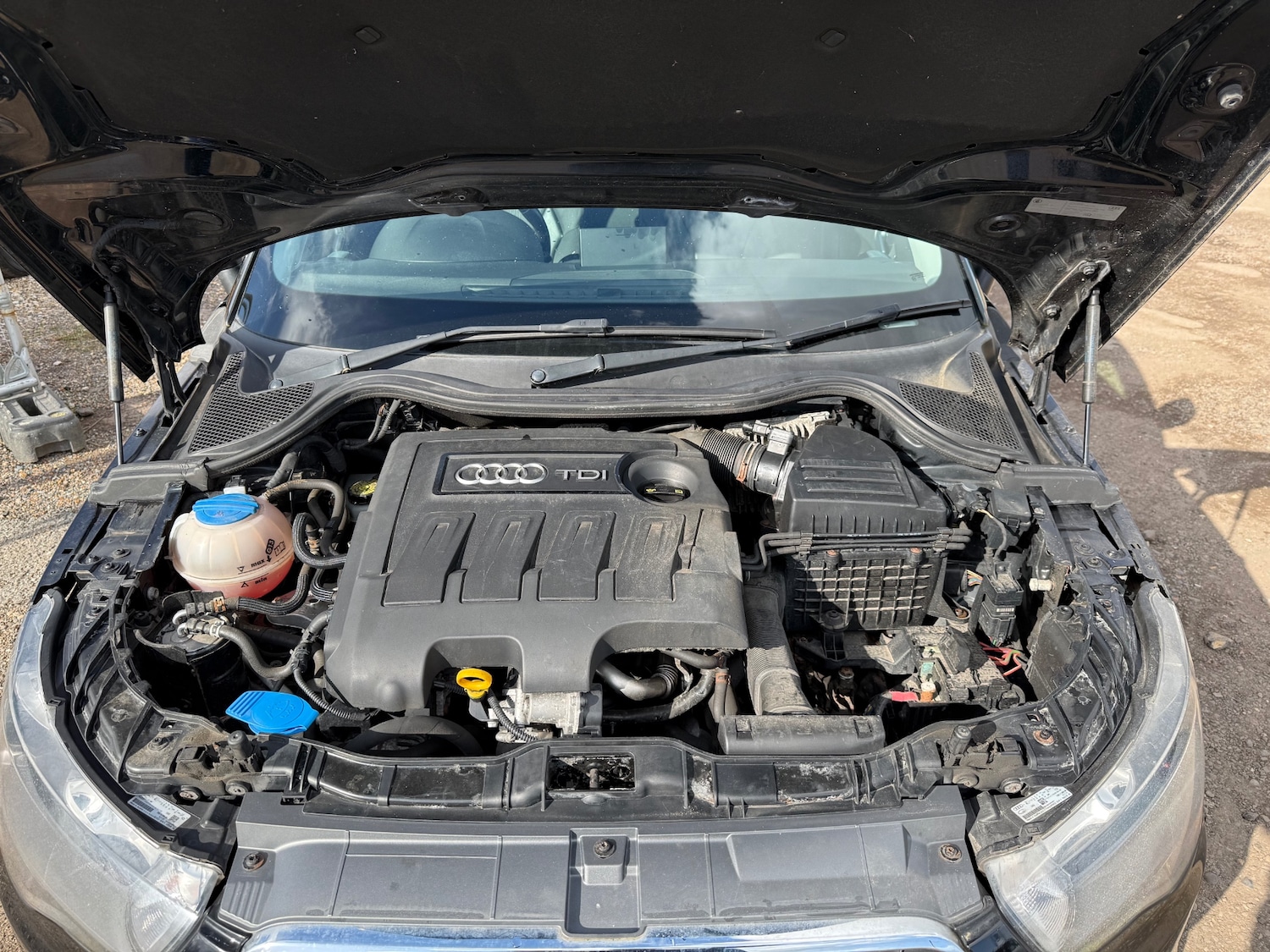 Used Audi A1 2014 for sale - 77802038: Photo 16