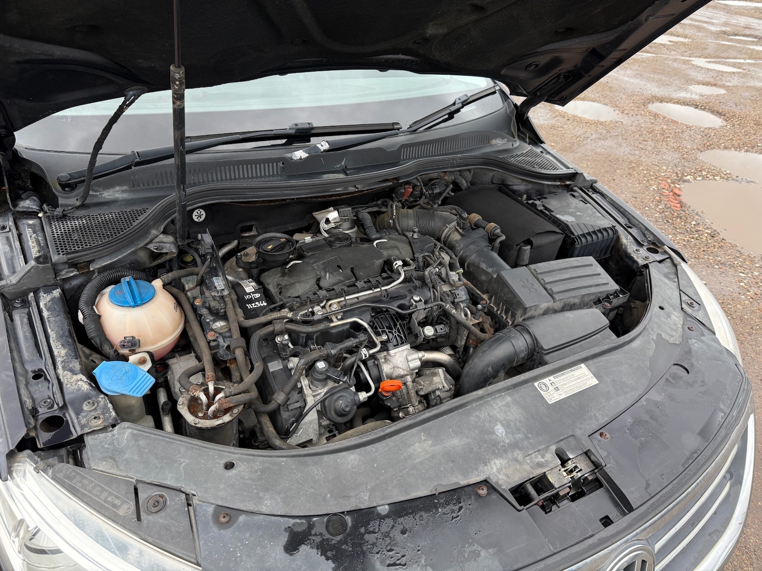 Used Volkswagen Passat 2010 for sale - 77704382: Photo 18