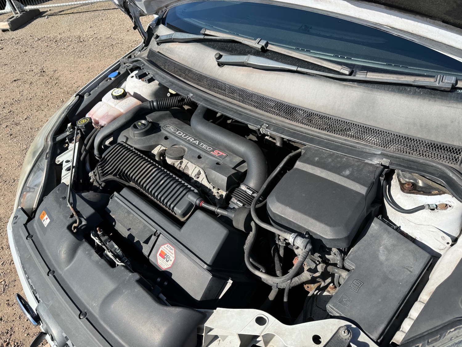 Used Ford Focus 2010 for sale - 77979827: Photo 22