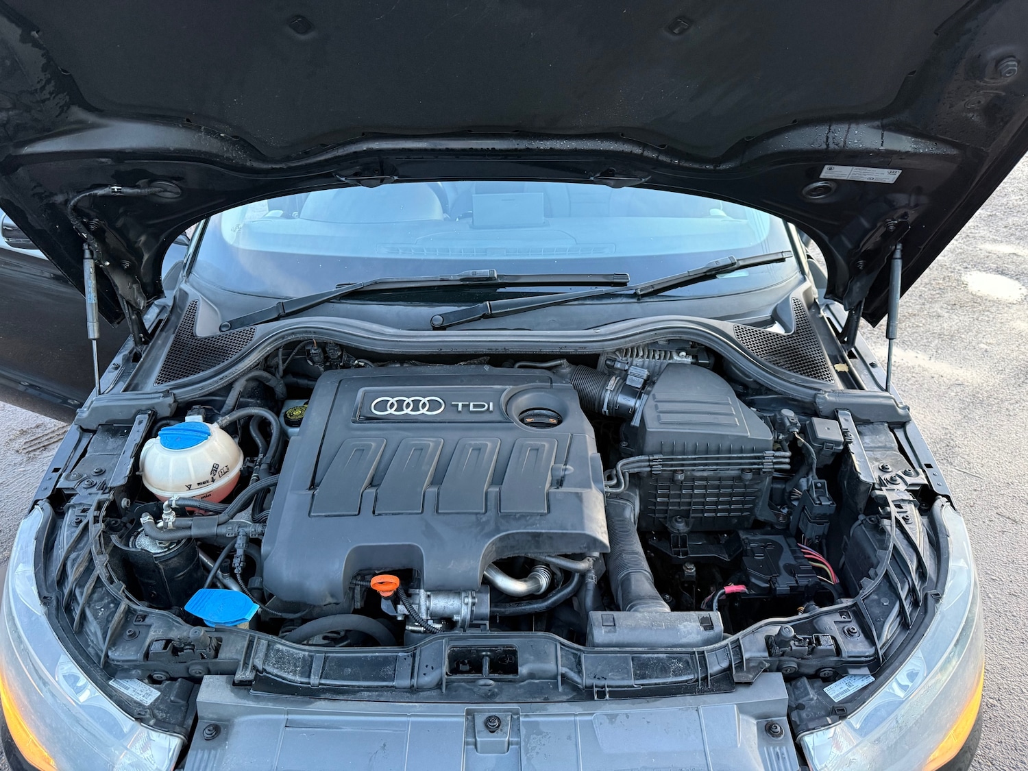 Used Audi A1 2012 for sale - 77240197: Photo 17