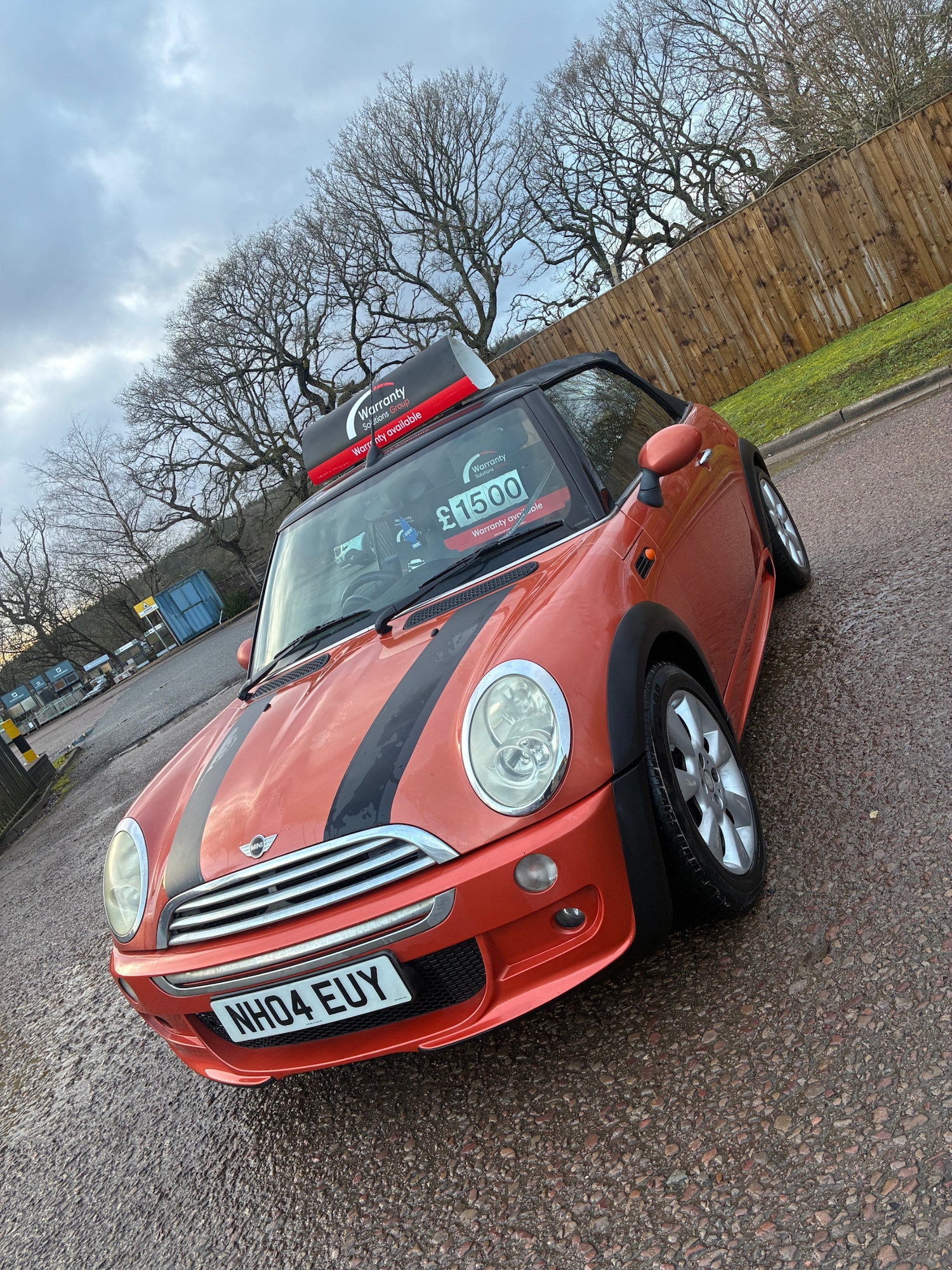 Used MINI Convertible 2004 for sale - 77620301: Photo 3