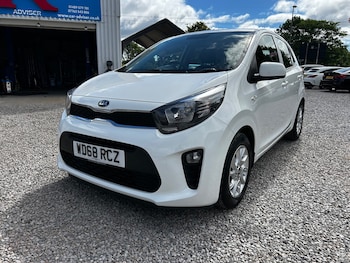 Used Kia Picanto 2019 for sale - 79023765: Photo