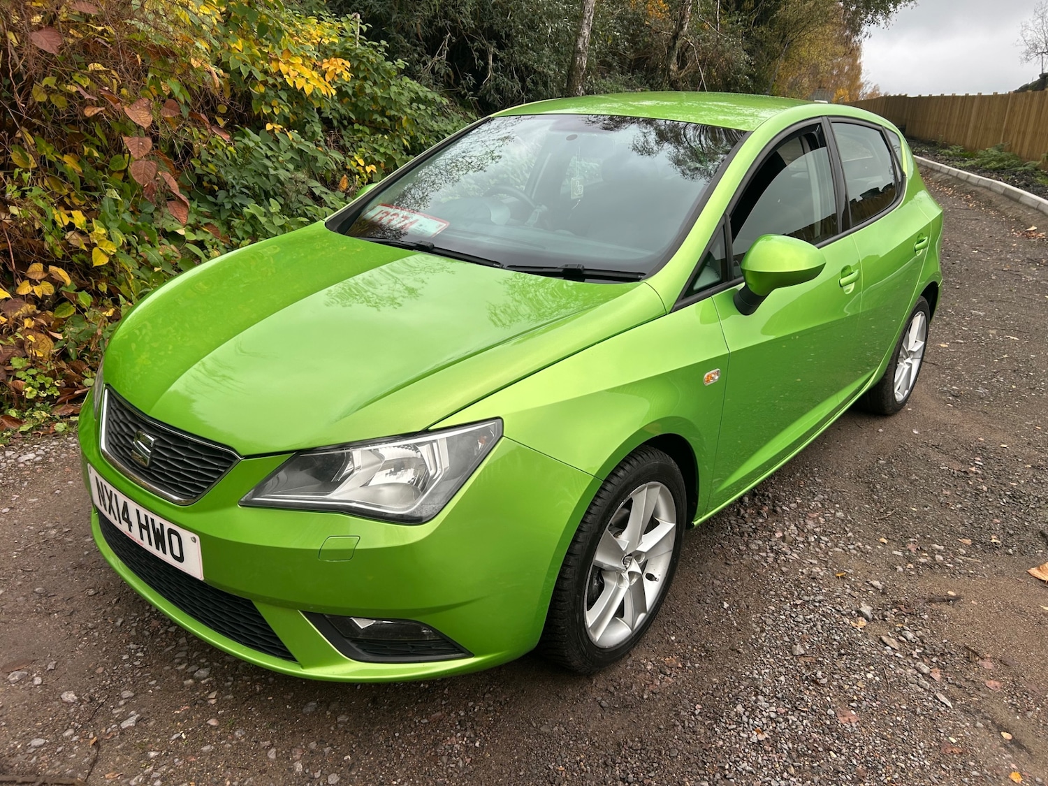 Used SEAT Ibiza 2014 for sale - 76508555: Photo 10