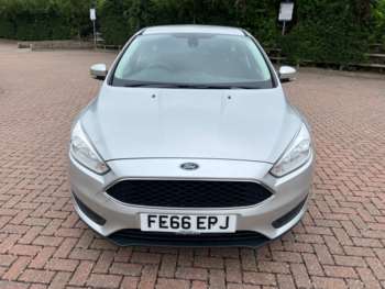 Used Ford Focus 2016 for sale - 75070196: Photo