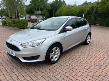Used Ford Focus 2016 for sale - 75070196: Photo