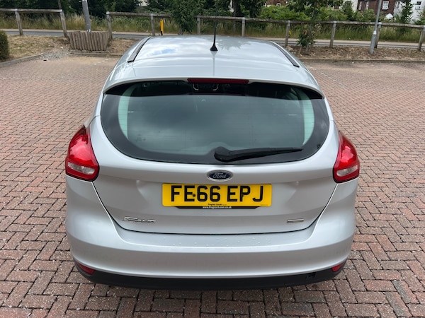 Used Ford Focus 2016 for sale - 75070196: Photo 4