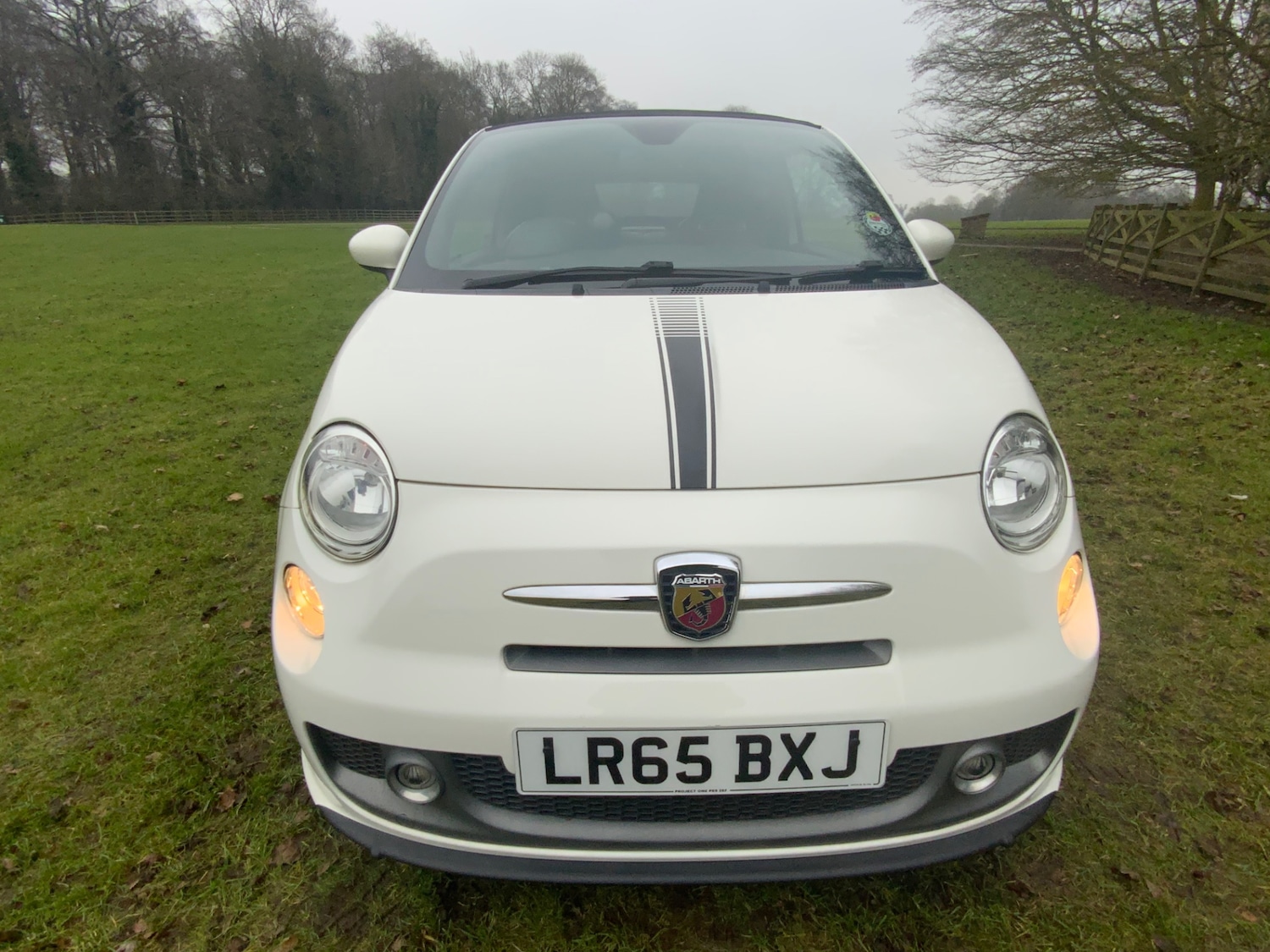 Used Abarth 595 2015 for sale - 77416972: Photo 4