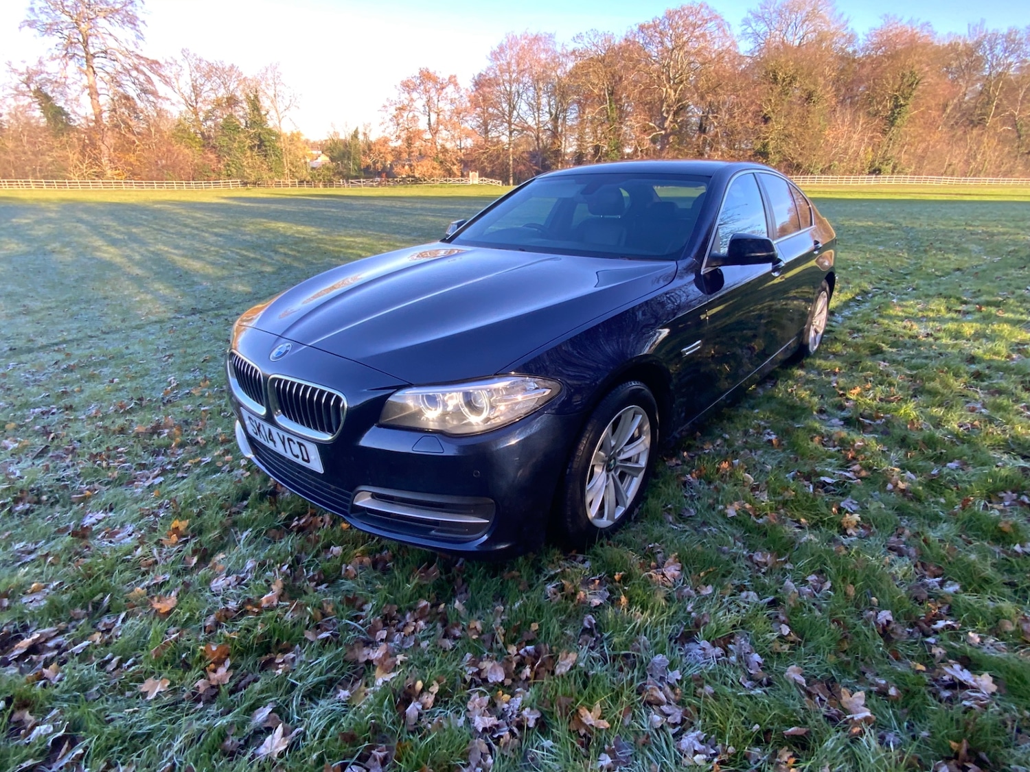 Used BMW 5 Series 2014 for sale - 76649651: Photo 1