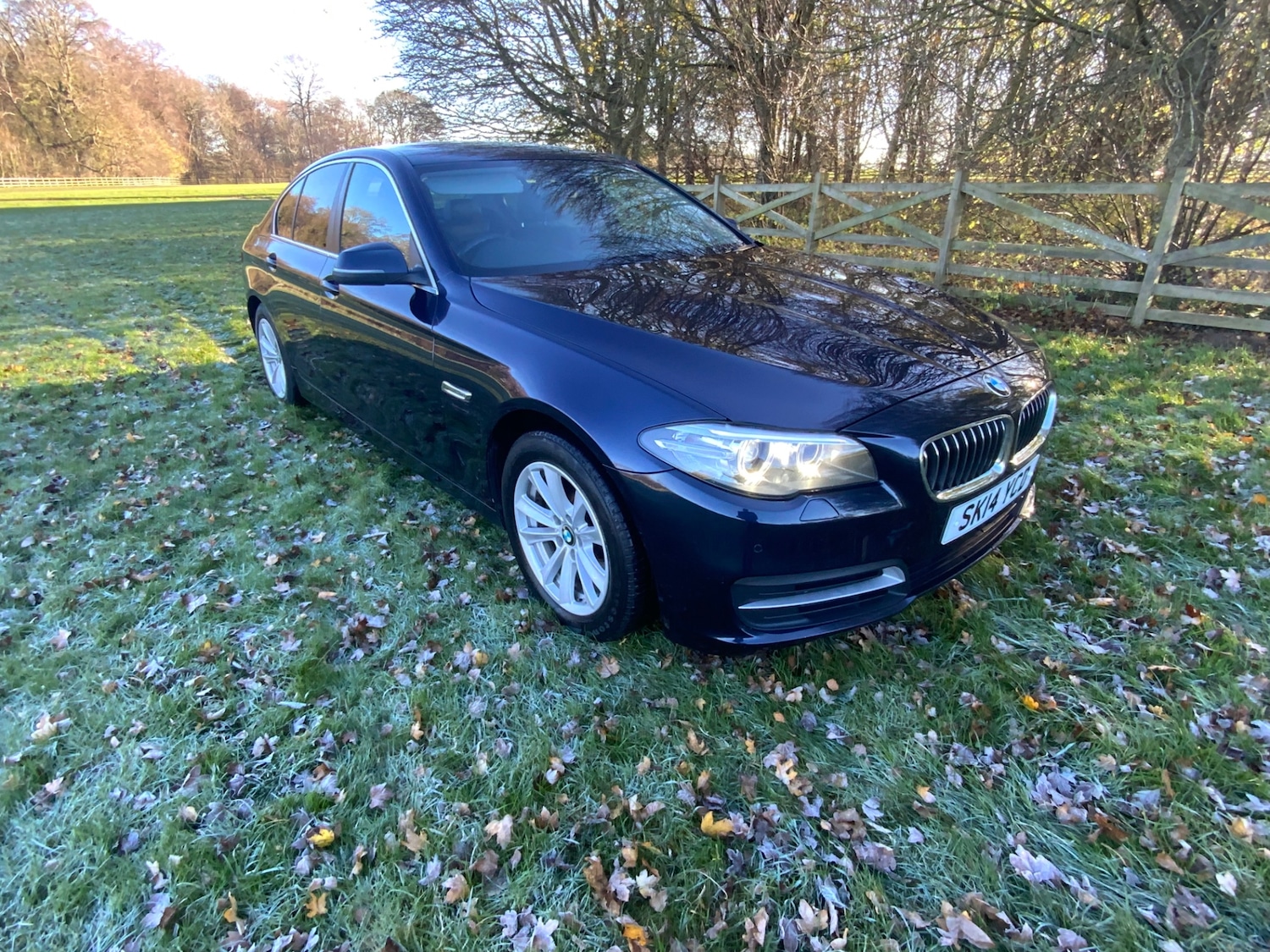 Used BMW 5 Series 2014 for sale - 76649651: Photo 2