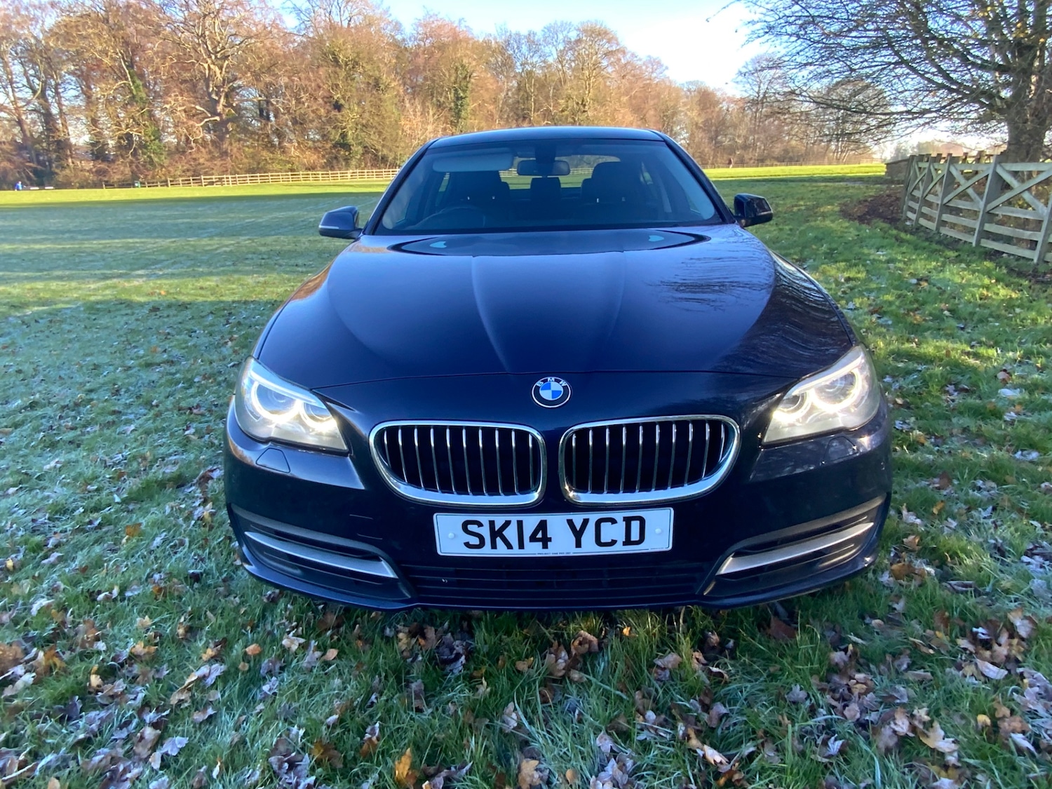 Used BMW 5 Series 2014 for sale - 76649651: Photo 3