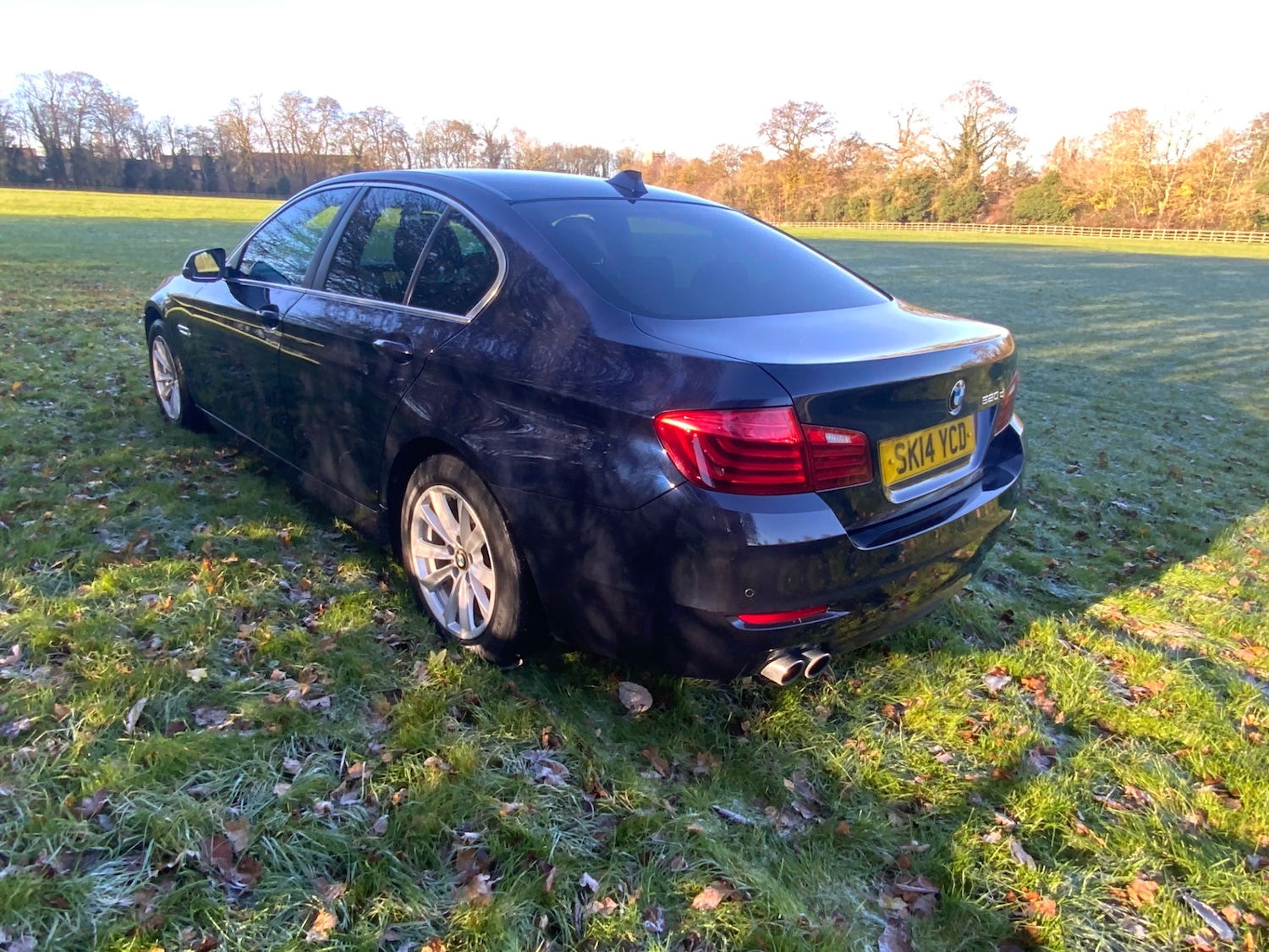 Used BMW 5 Series 2014 for sale - 76649651: Photo 4