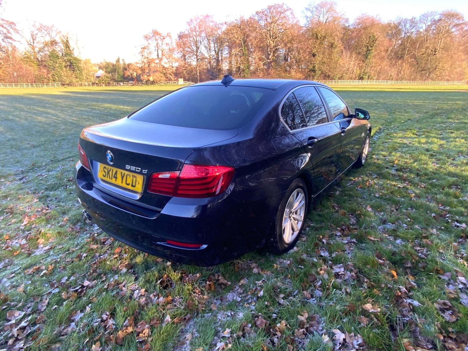 Used BMW 5 Series 2014 for sale - 76649651: Photo 6