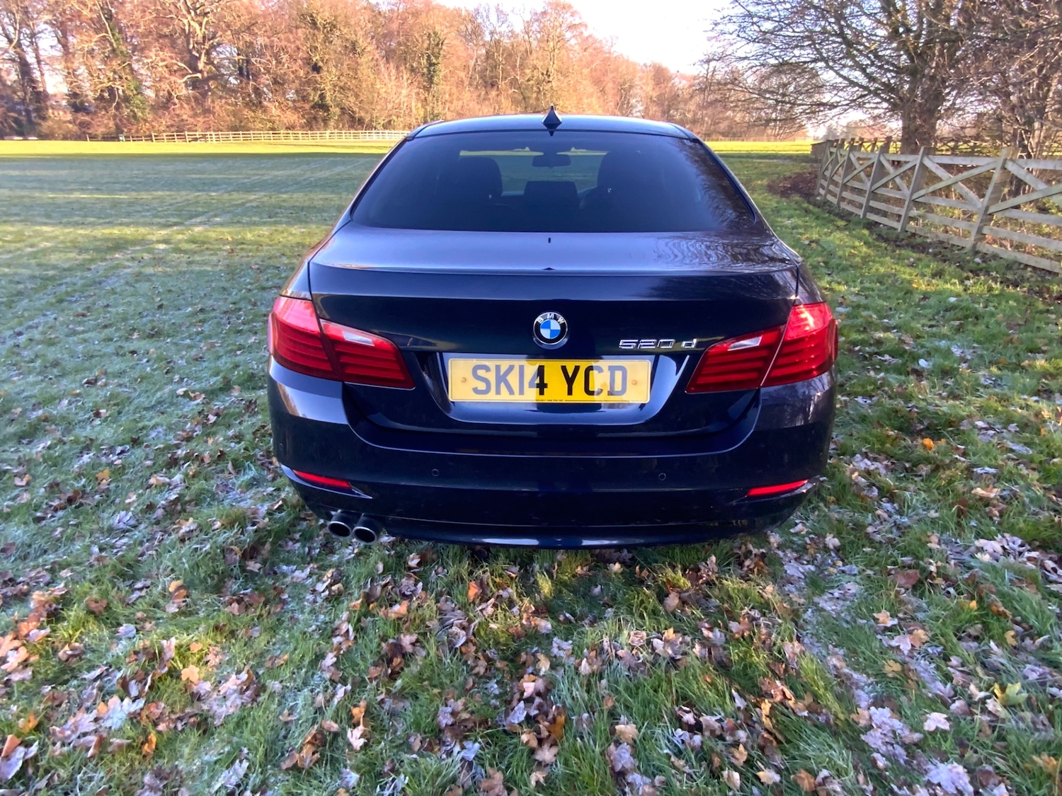 Used BMW 5 Series 2014 for sale - 76649651: Photo 7