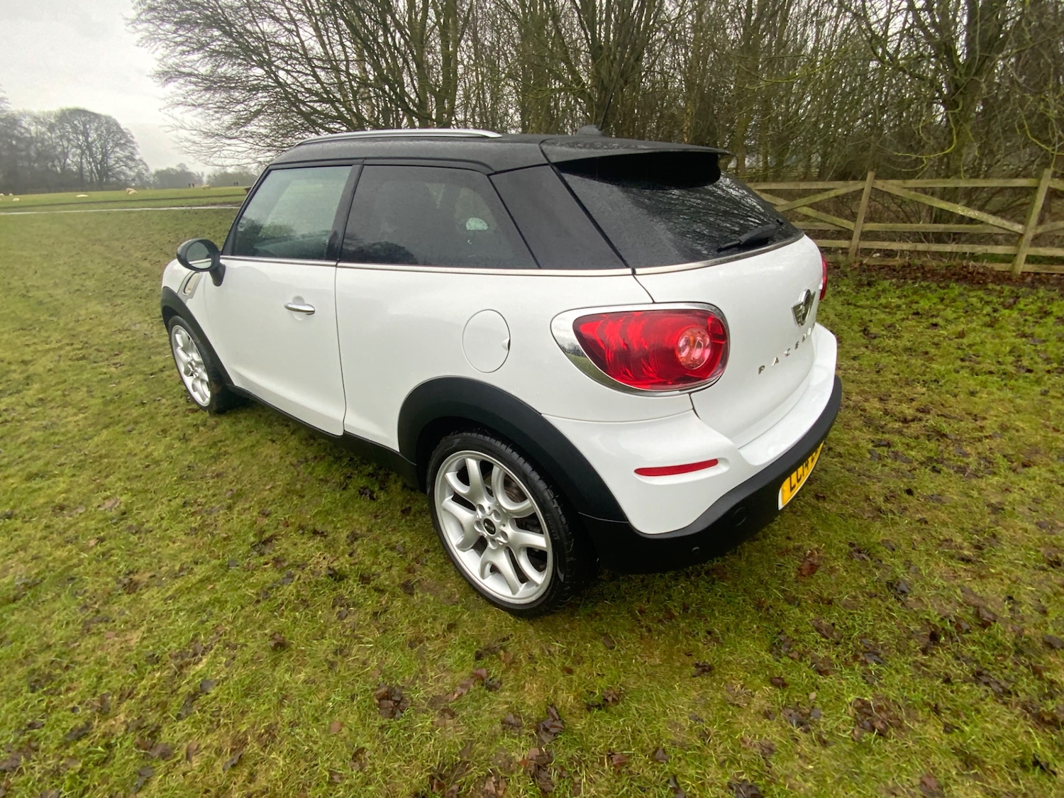 Used MINI Paceman 2014 for sale - 77207130: Photo 6