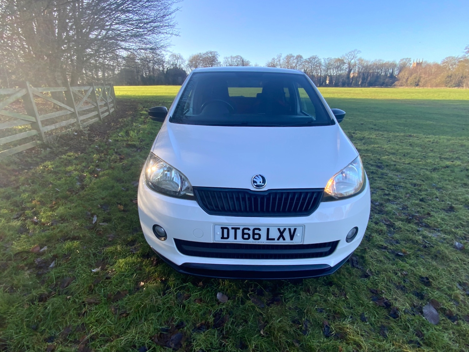 Used Skoda Citigo 2017 for sale - 77023199: Photo 3