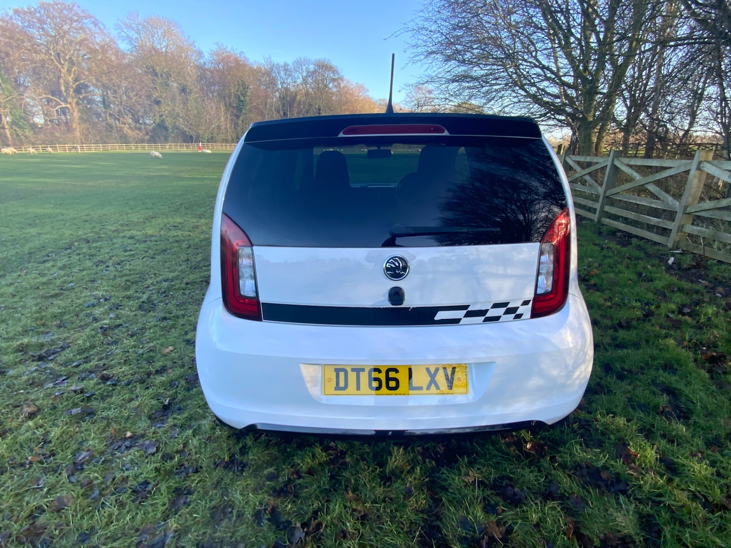 Used Skoda Citigo 2017 for sale - 77023199: Photo 4