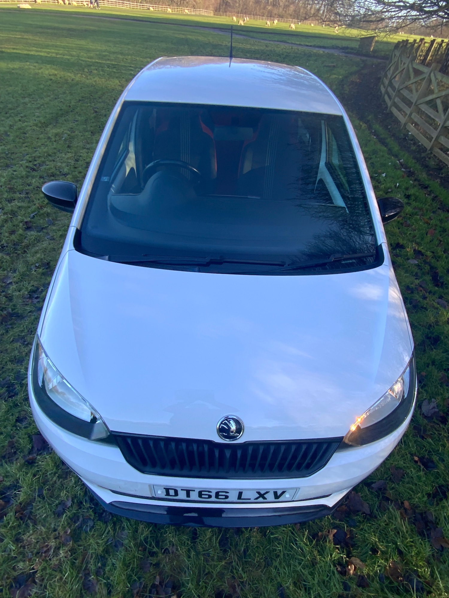 Used Skoda Citigo 2017 for sale - 77023199: Photo 5