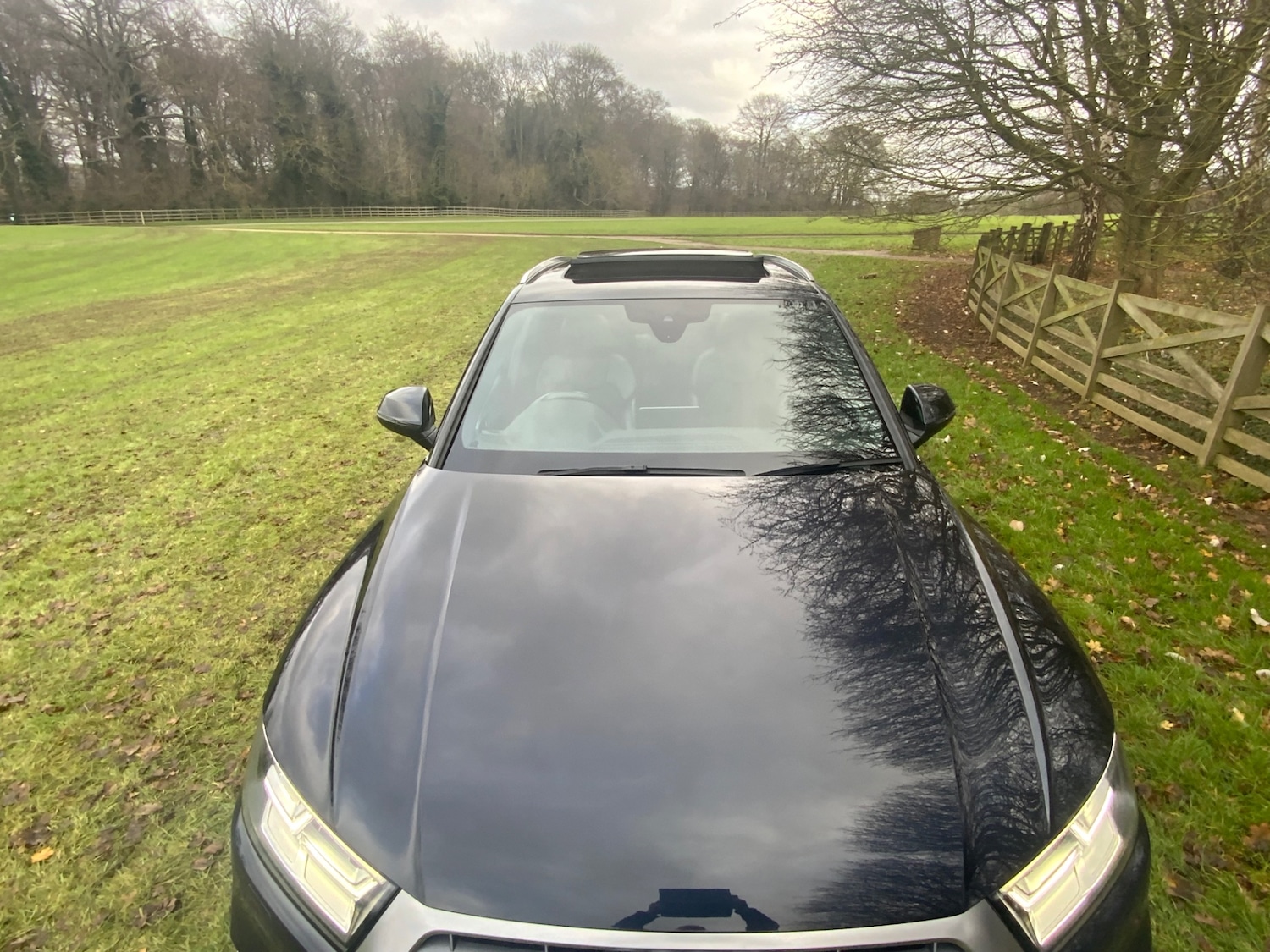 Used Audi Q5 2017 for sale - 76904421: Photo 4