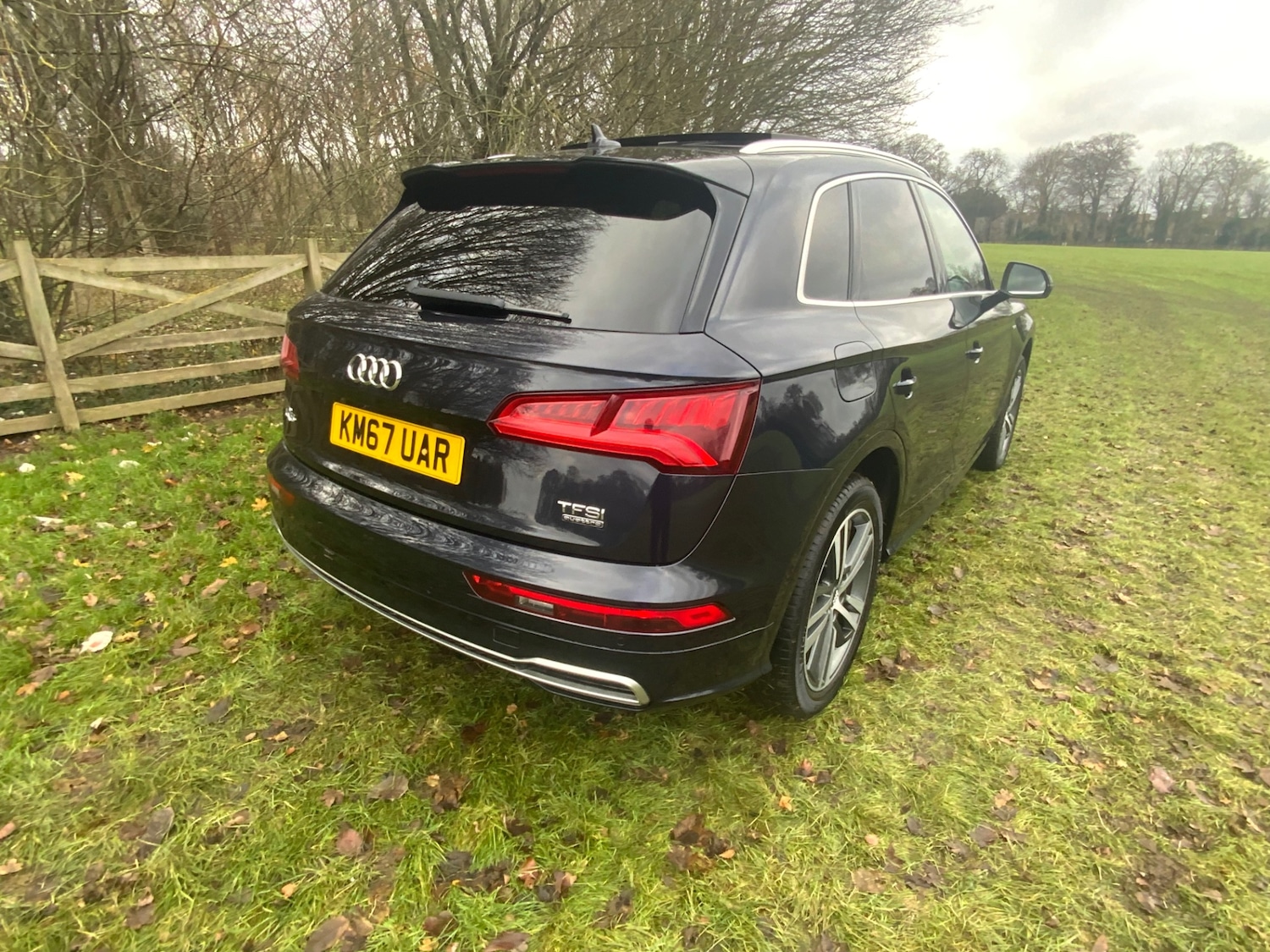 Used Audi Q5 2017 for sale - 76904421: Photo 5