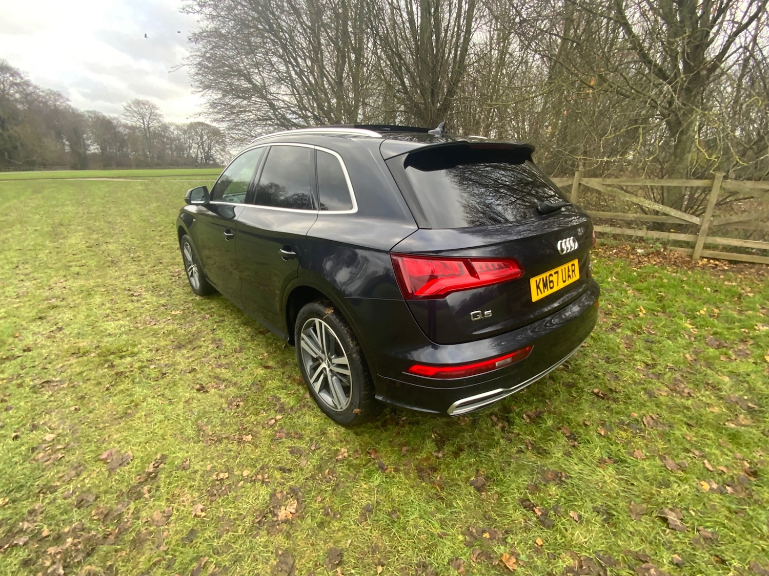 Used Audi Q5 2017 for sale - 76904421: Photo 6