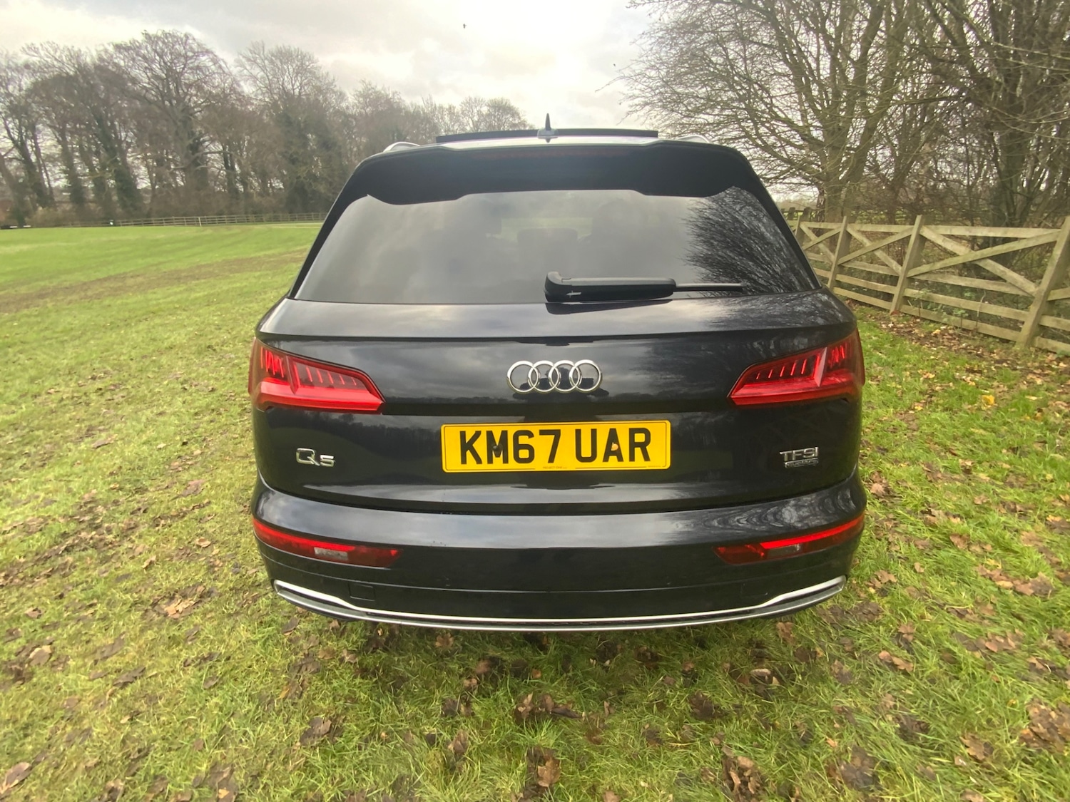 Used Audi Q5 2017 for sale - 76904421: Photo 7