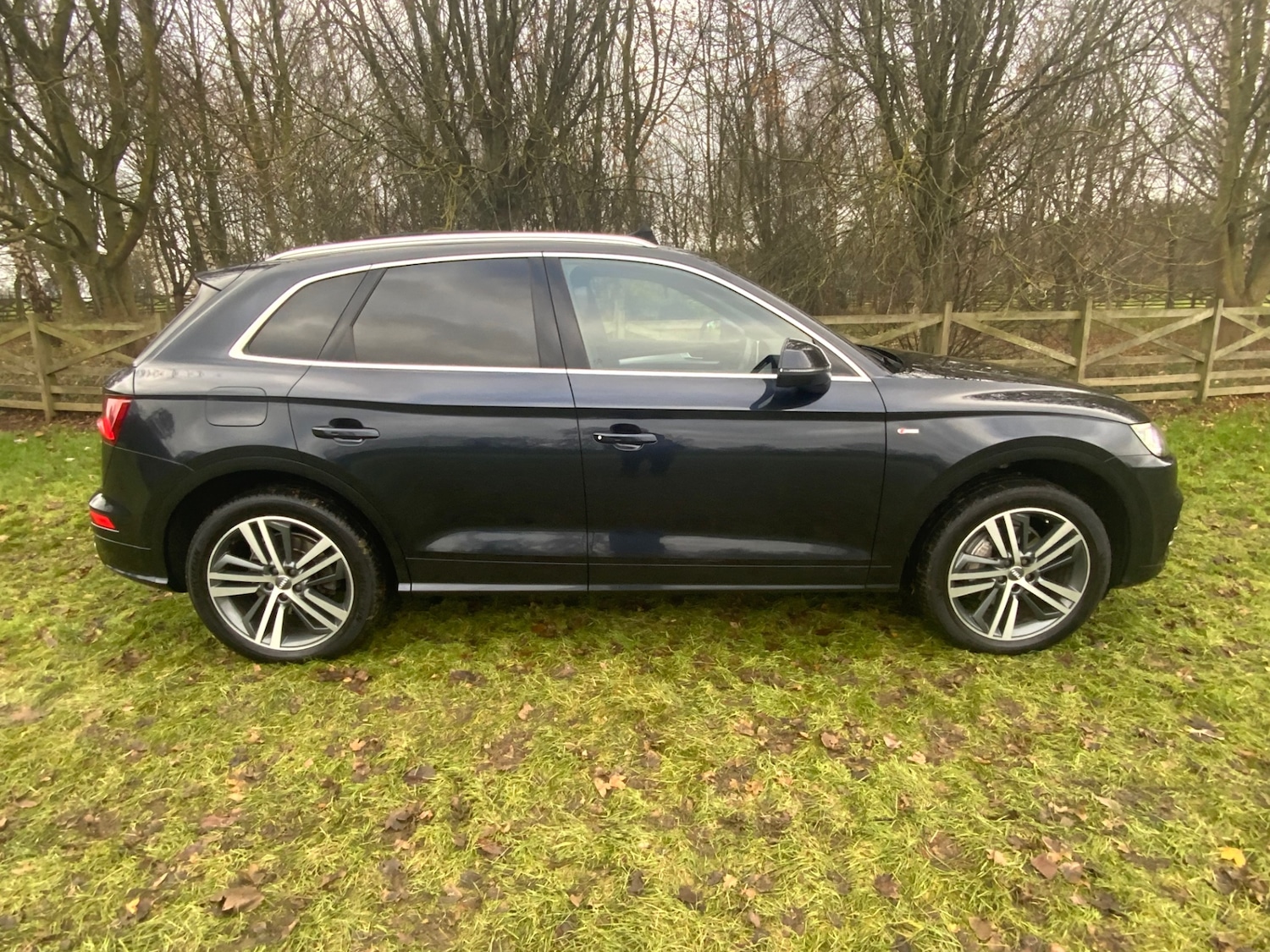 Used Audi Q5 2017 for sale - 76904421: Photo 8