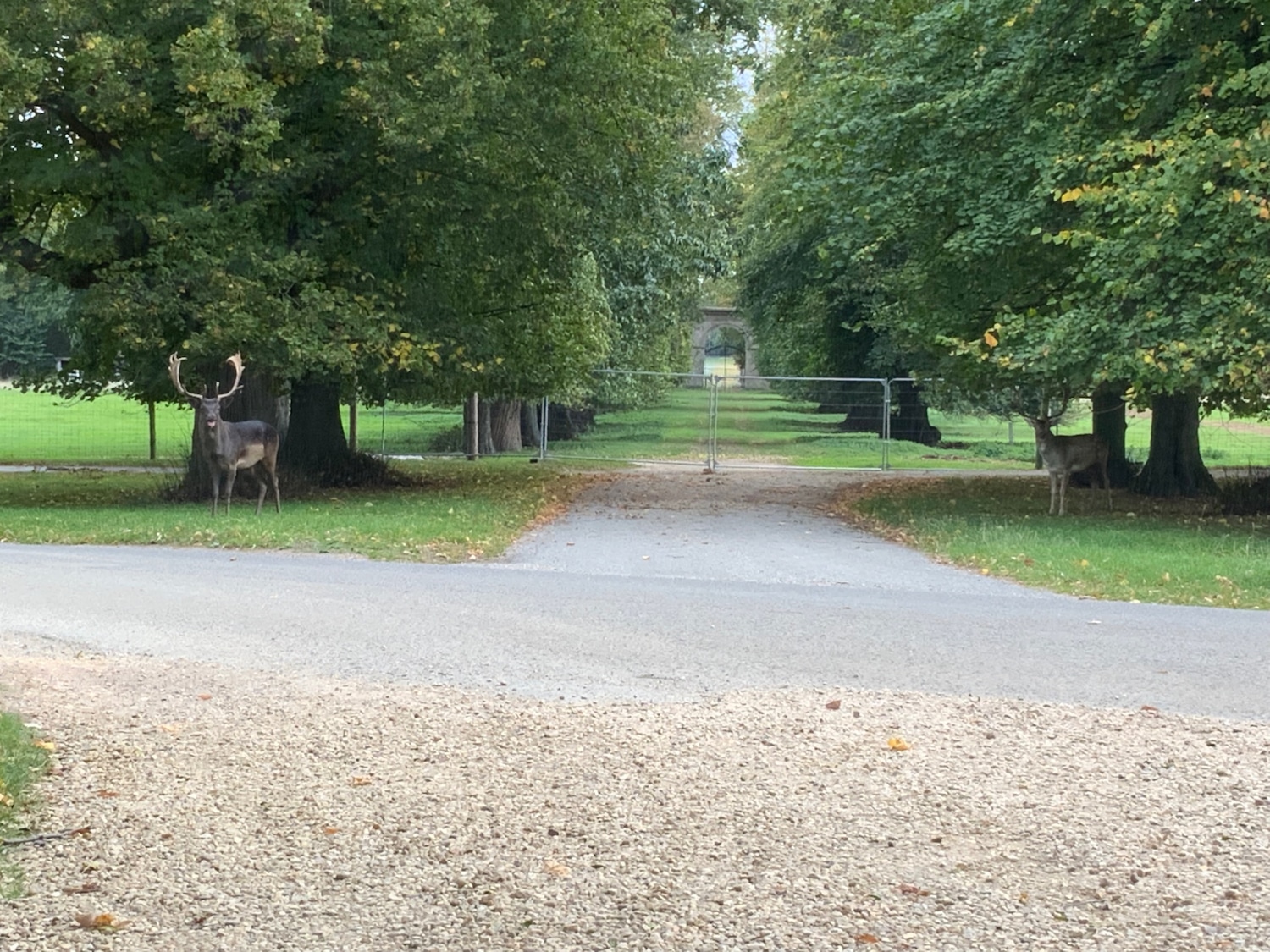 Used Volkswagen Golf 2018 for sale - 77378010: Photo 3