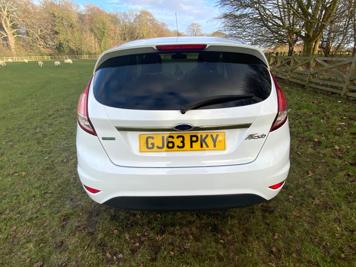 Used Ford Fiesta 2013 for sale - 77168713: Photo 7