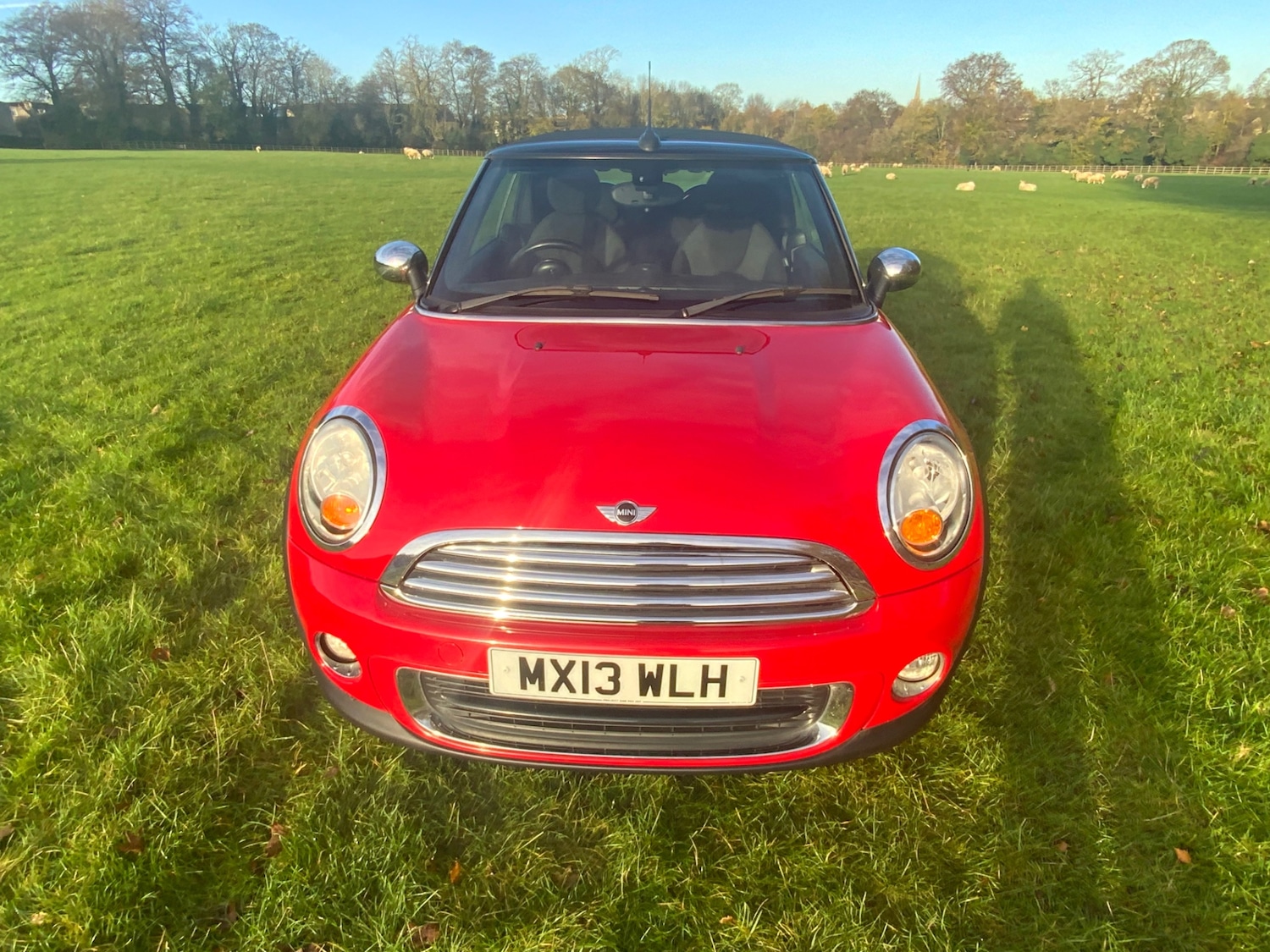 Used MINI Convertible 2013 for sale - 76544395: Photo 12