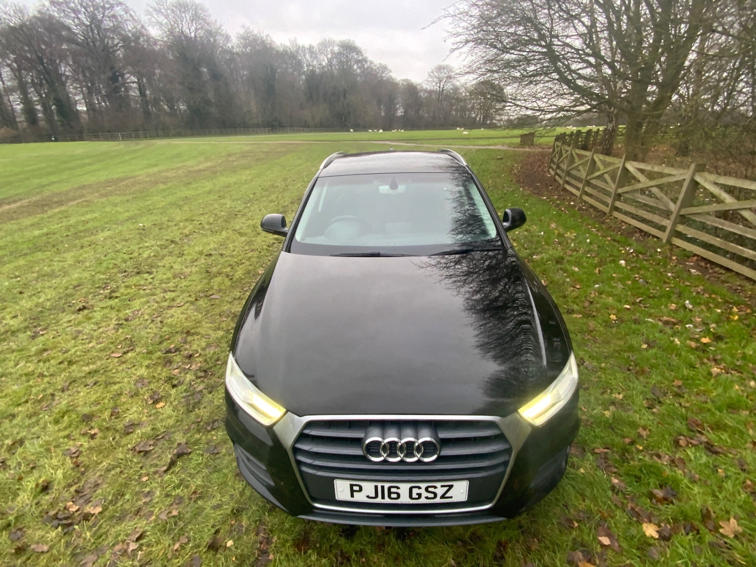 Used Audi Q3 2016 for sale - 76904427: Photo 3