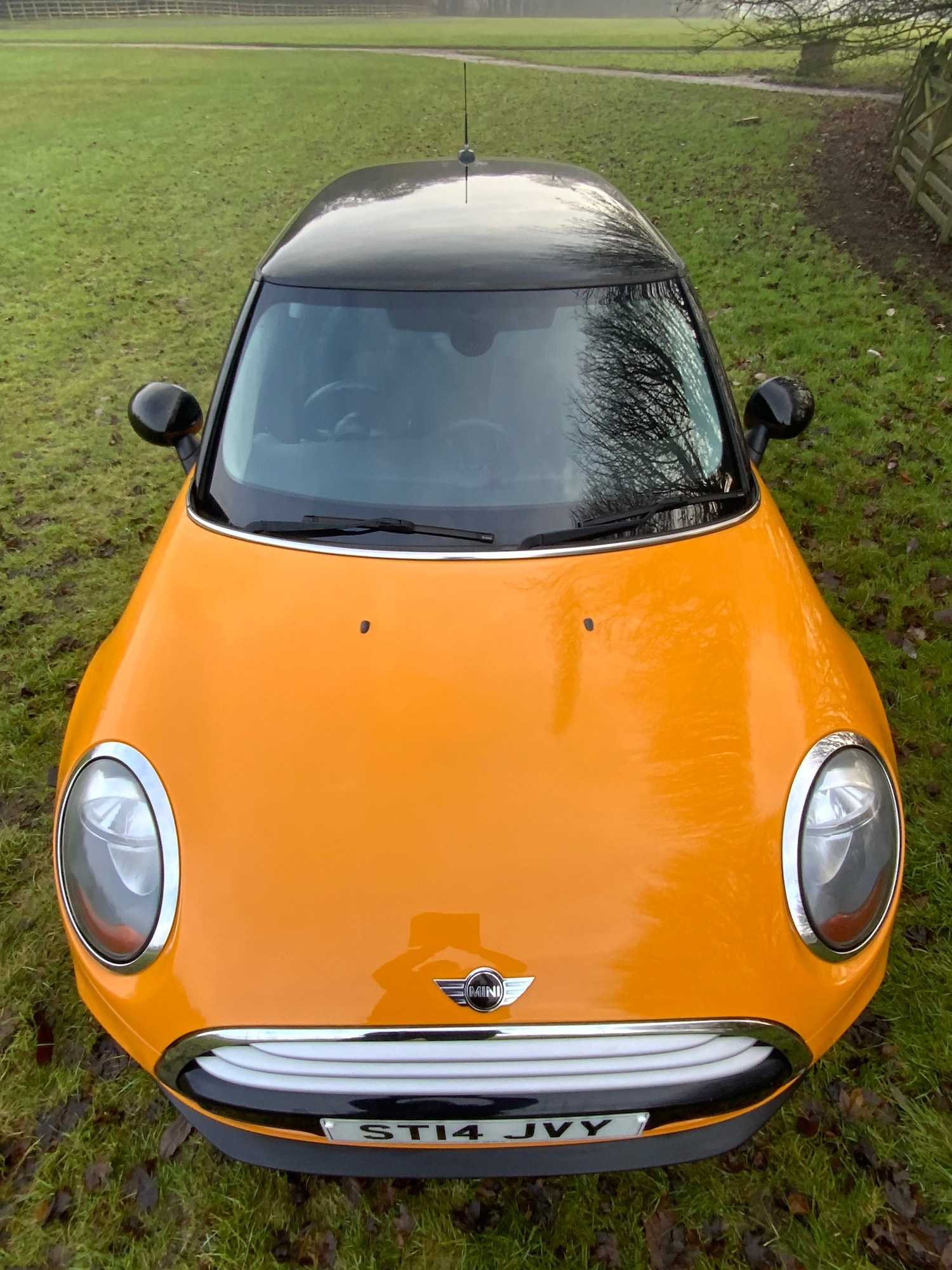 Used MINI Hatch 2014 for sale - 77023180: Photo 6